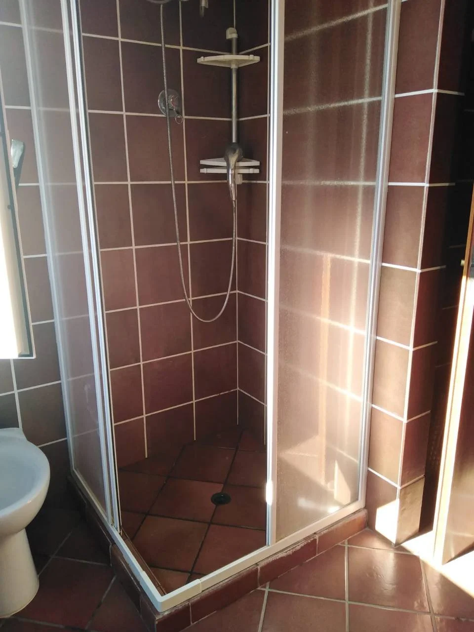 Doccia con pareti di vetro e piastrelle marroni, a sinistra una parte di WC.