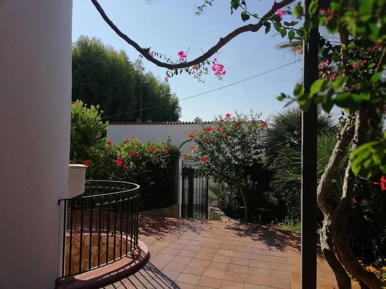Giardino con piante e alberi fioriti, recinzione metallica, e un cielo blu soleggiato.