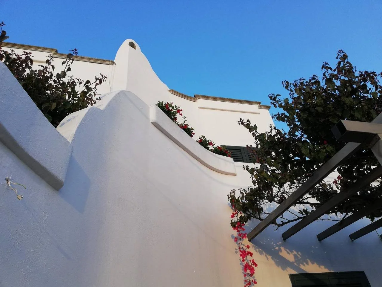 Vista di una costruzione bianca con muri curvi, piante con fiori rossi e una tettoia con fiori rampicanti, sotto un cielo blu.