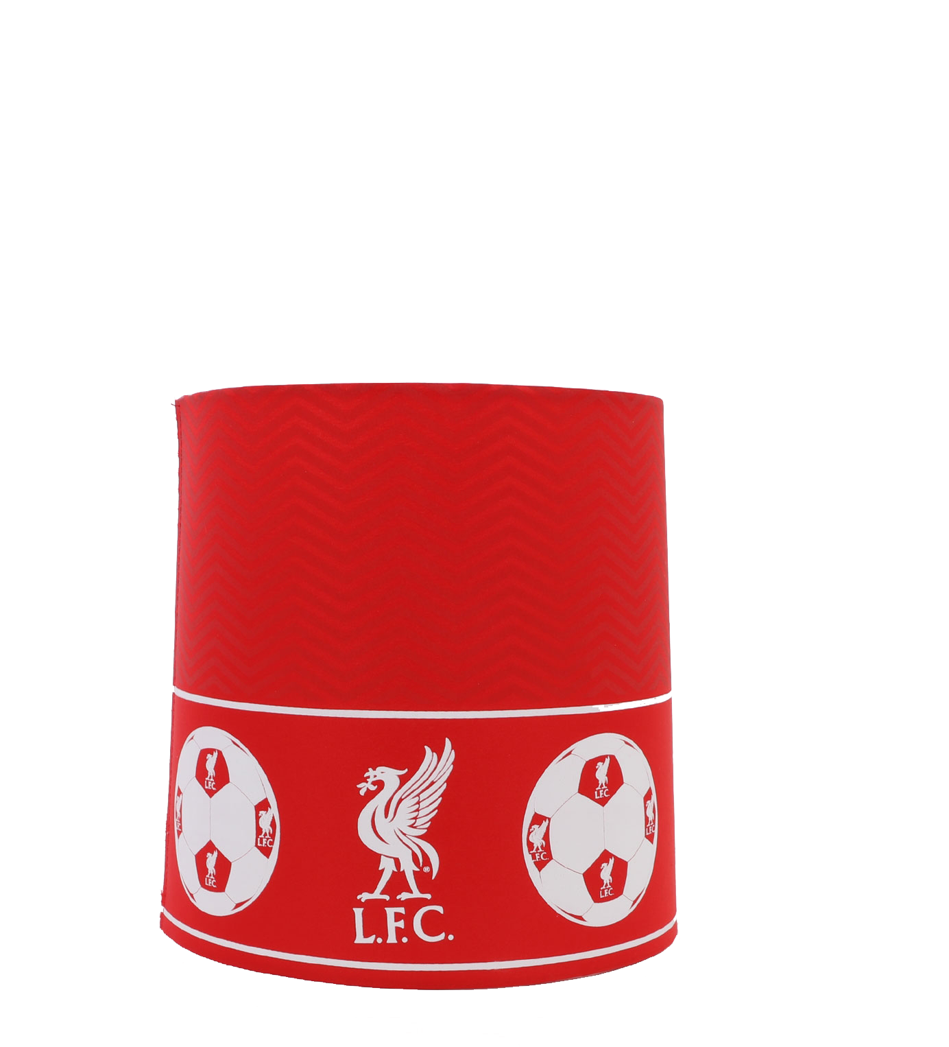 LFC Ceiling Light - £15.00