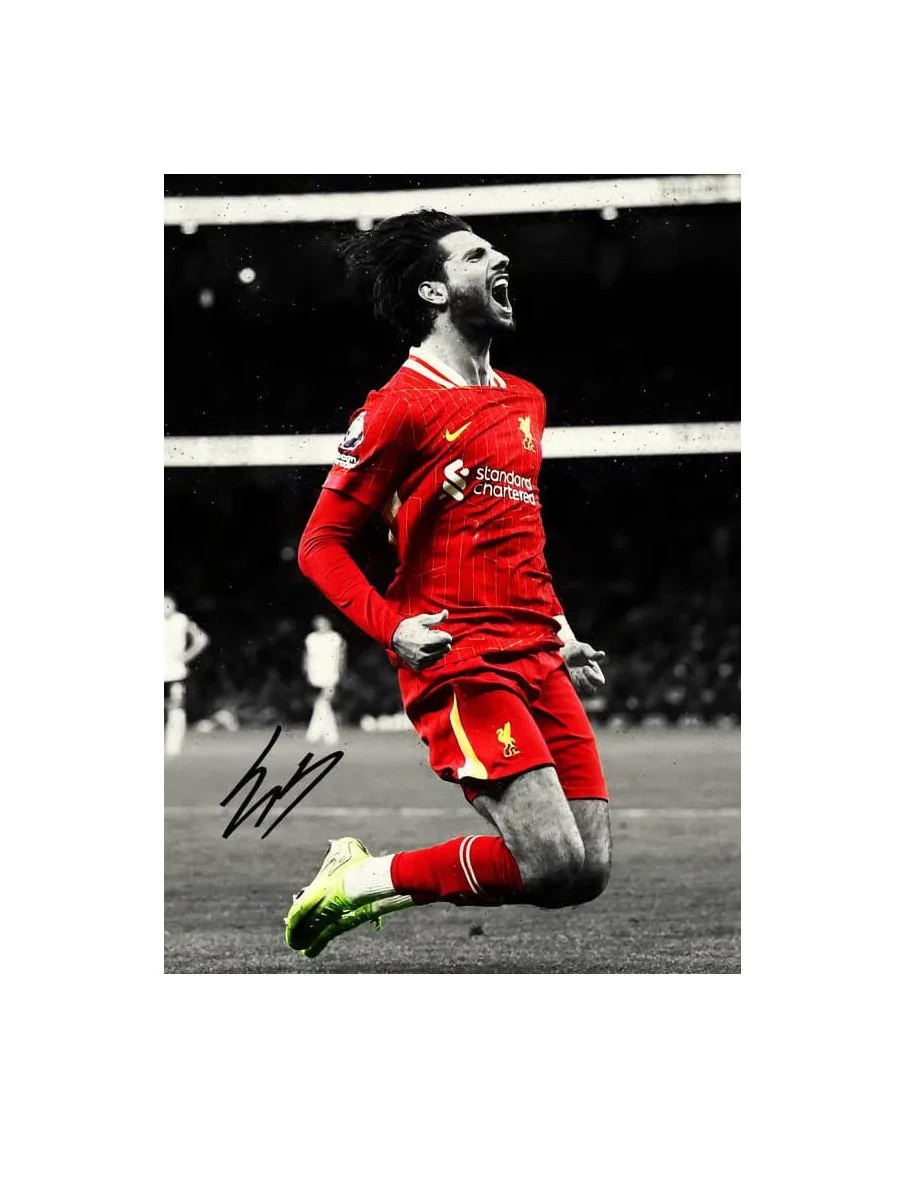 Dominik Szoboszlai Liverpool FC Canvas Art 50cm x 70cm
 £89.93 
