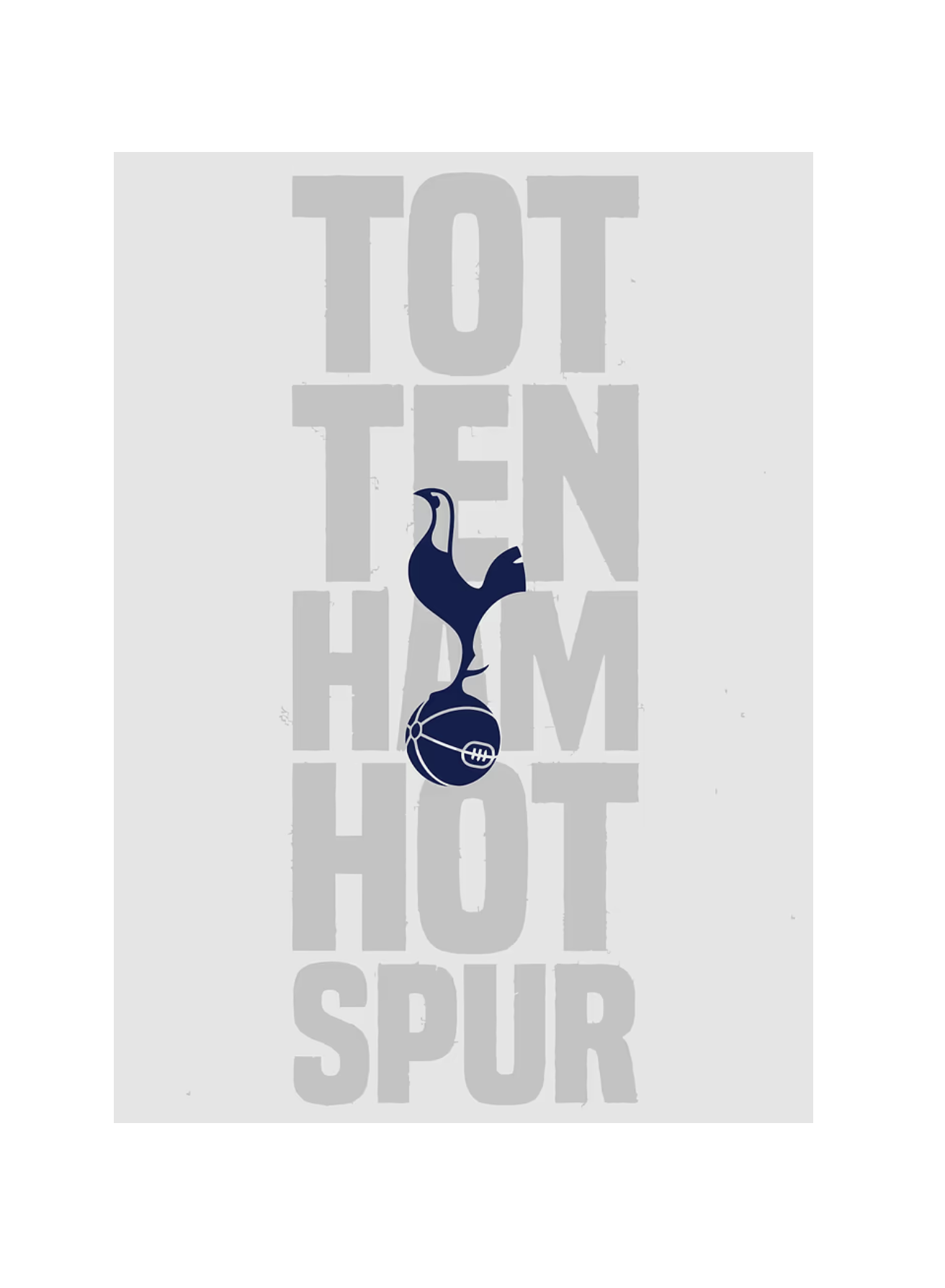 Tottenham Hotspur FC | 17.7in x 12.6in Gloss Framed Metal Poster - £59.99