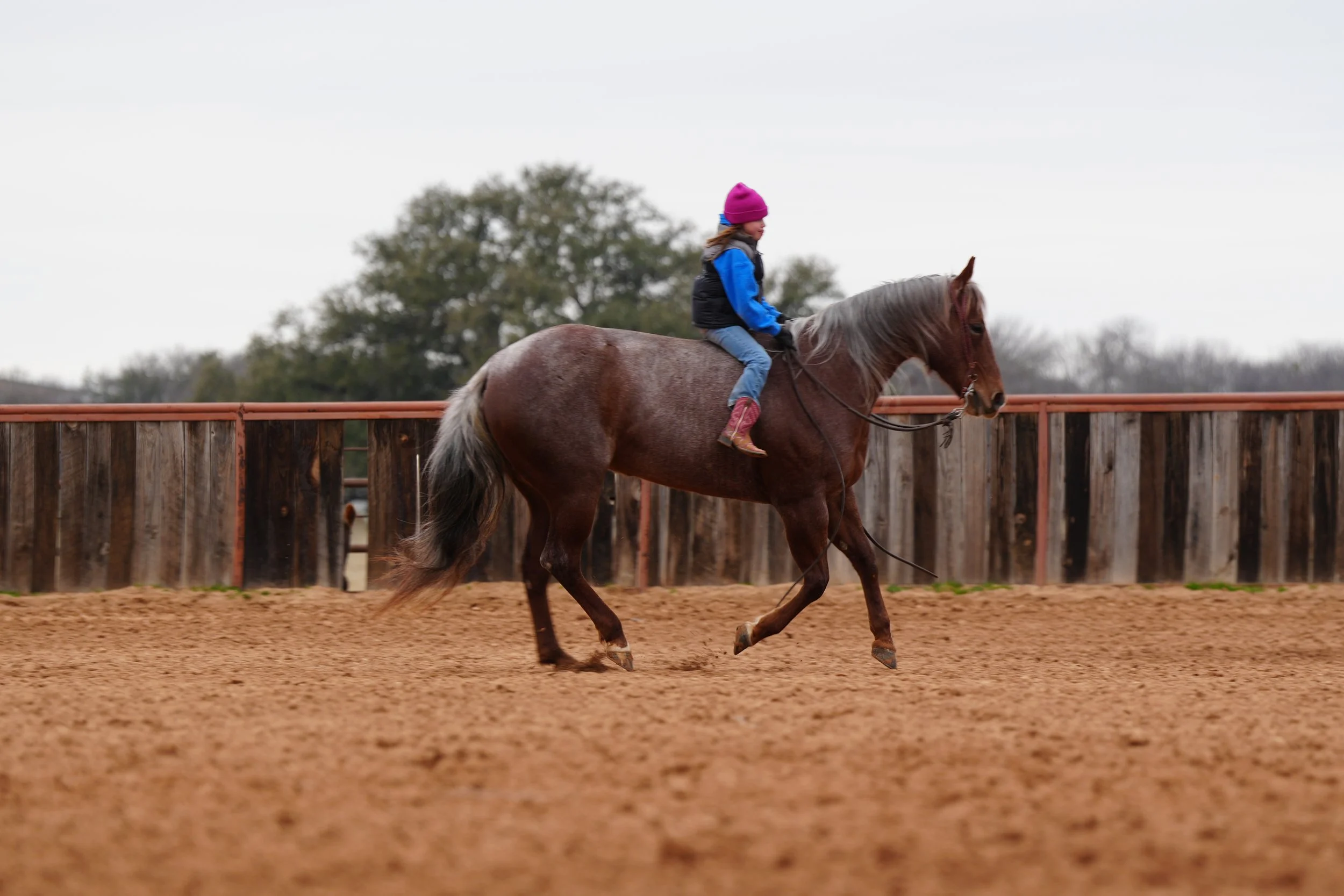 bareback with hadleigh.JPG