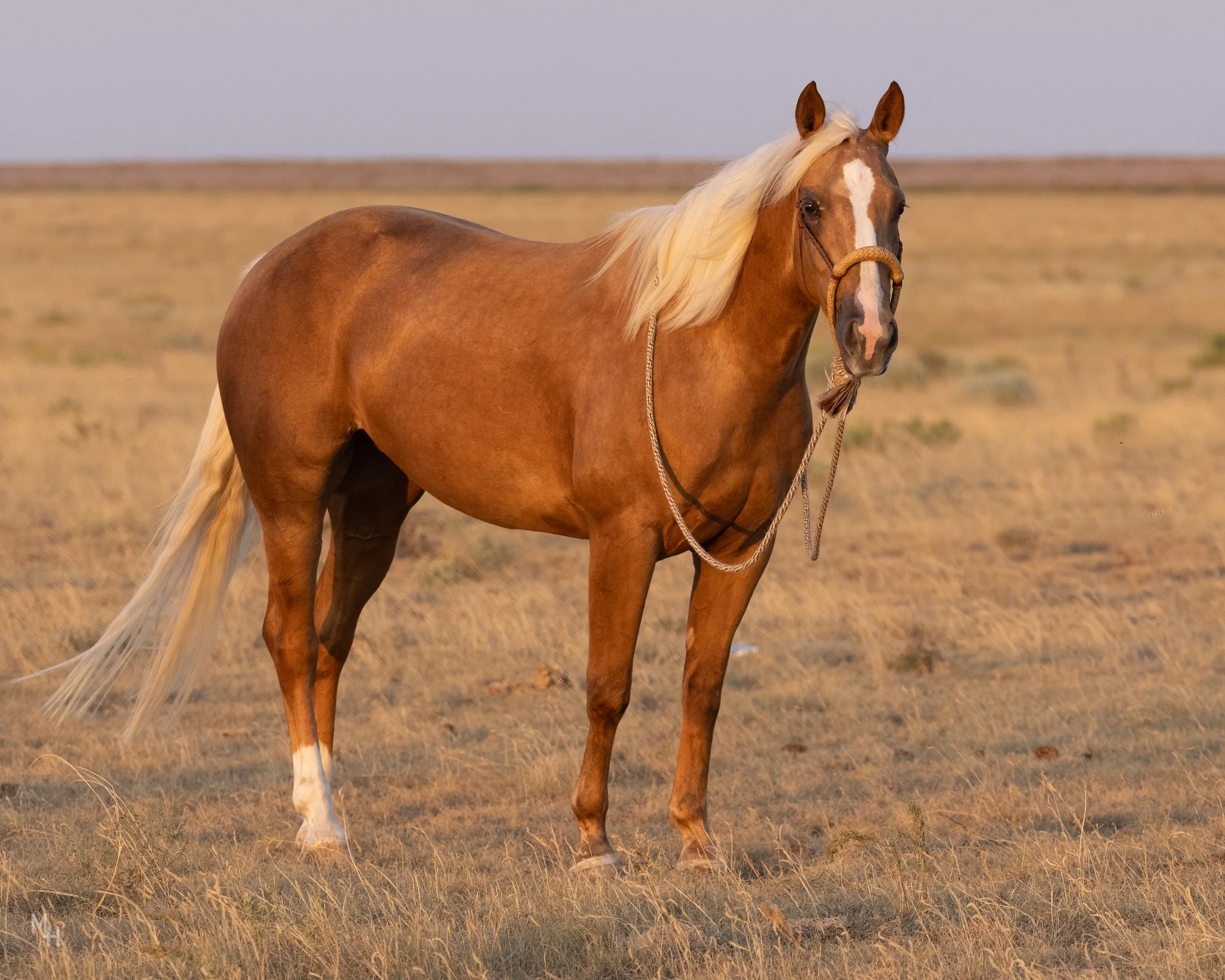 trahern-1101.jpg