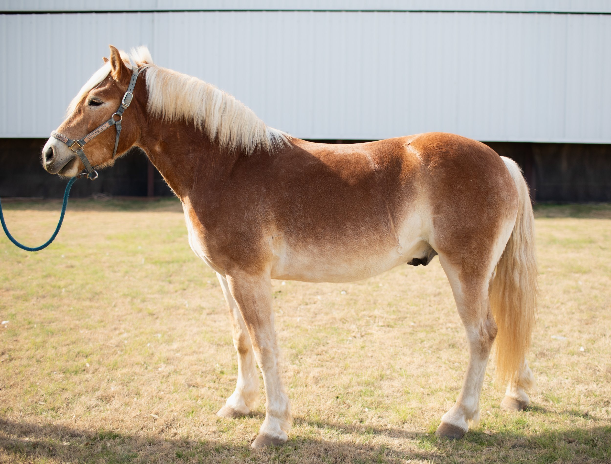 Copy of 6T6A9070-2.jpg