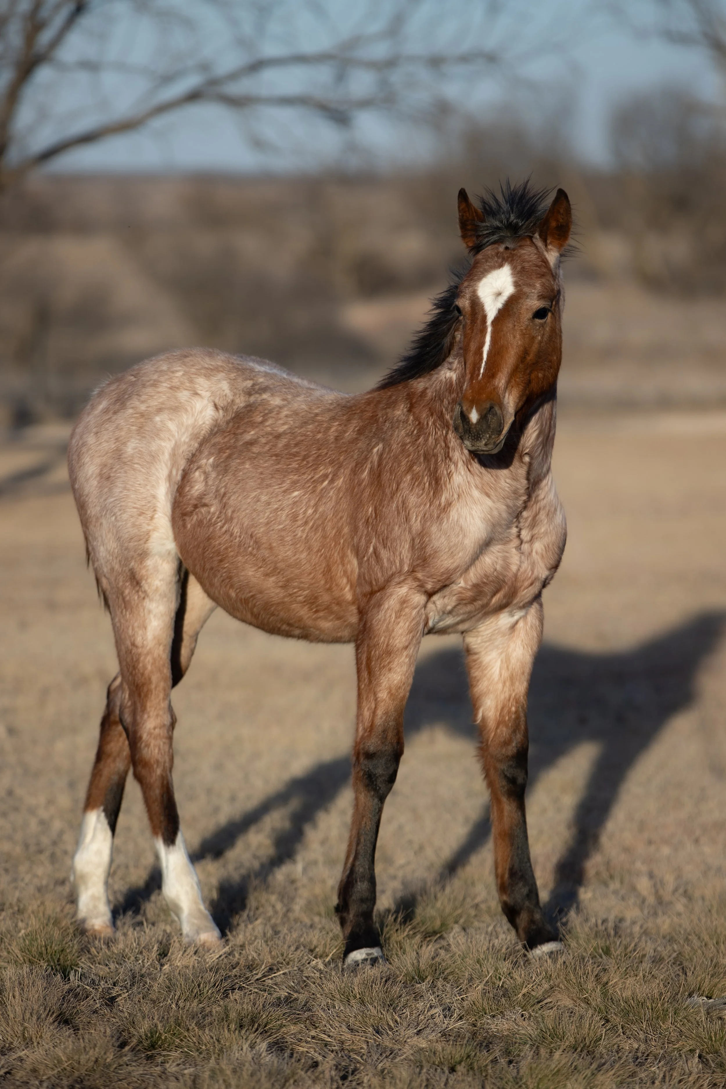 Copy of AA8I8122.jpg