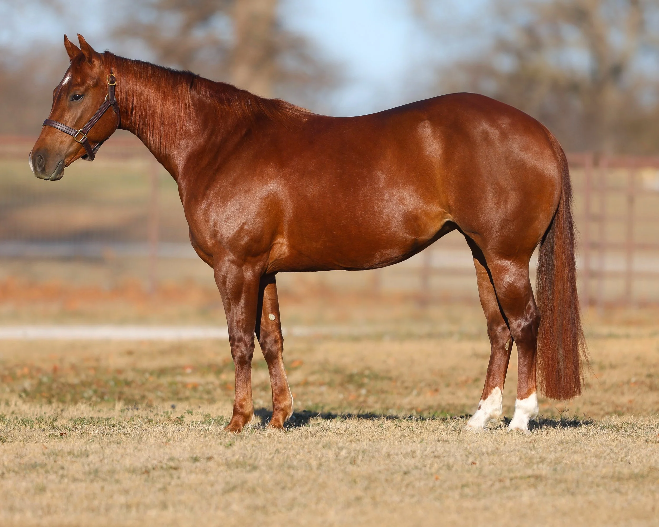 Copy of IMG_9376 - Hope Miller.jpeg