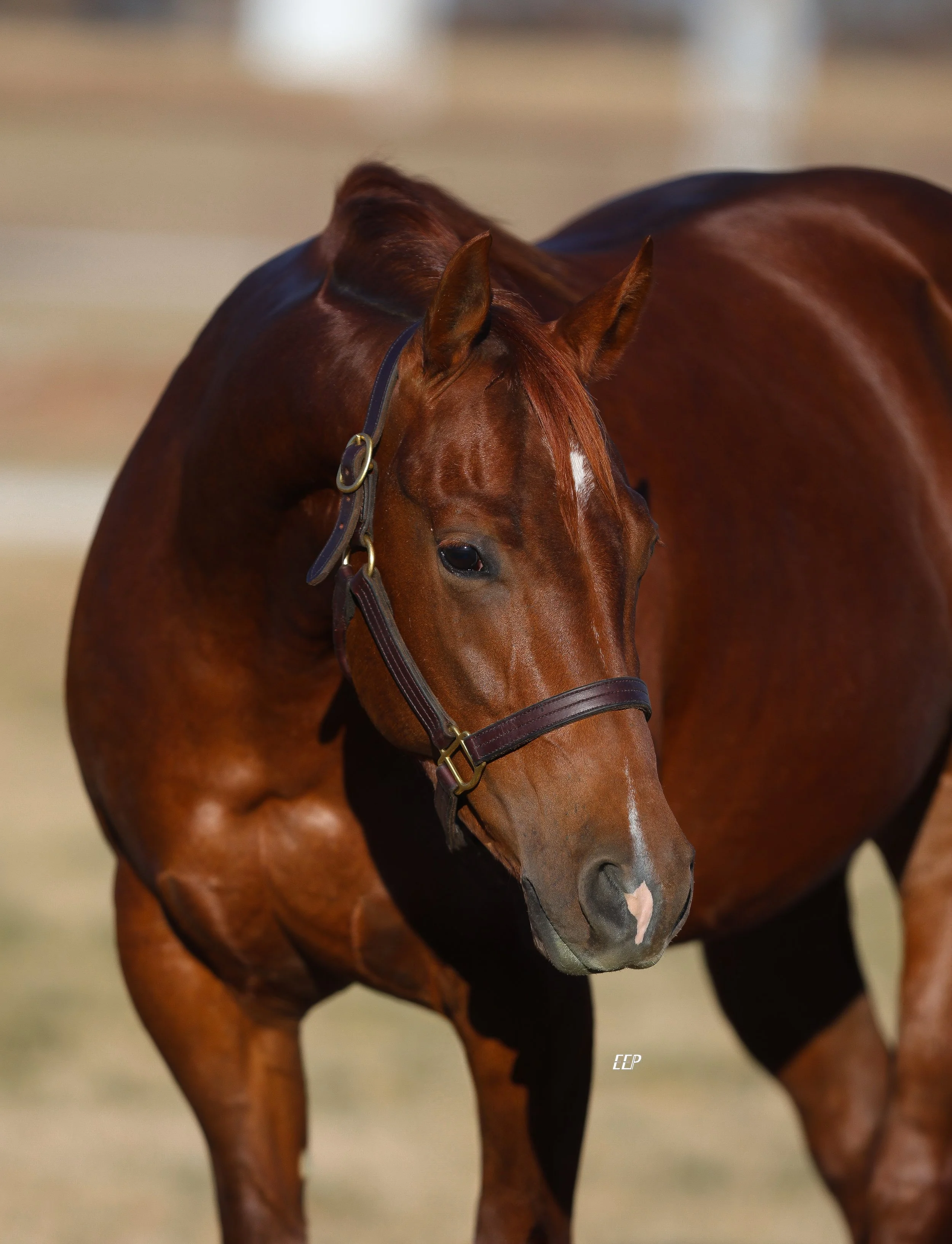 Copy of EEP_6307 - Hope Miller.jpeg