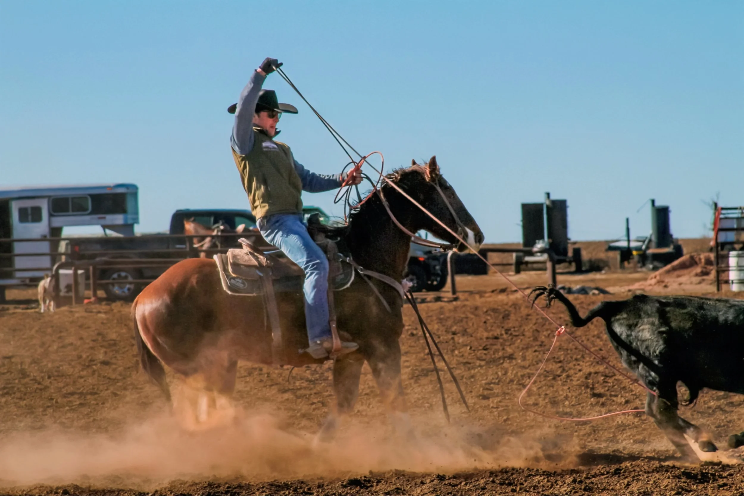 Copy of IMG_0112 2 - Connie Mitchell.jpeg