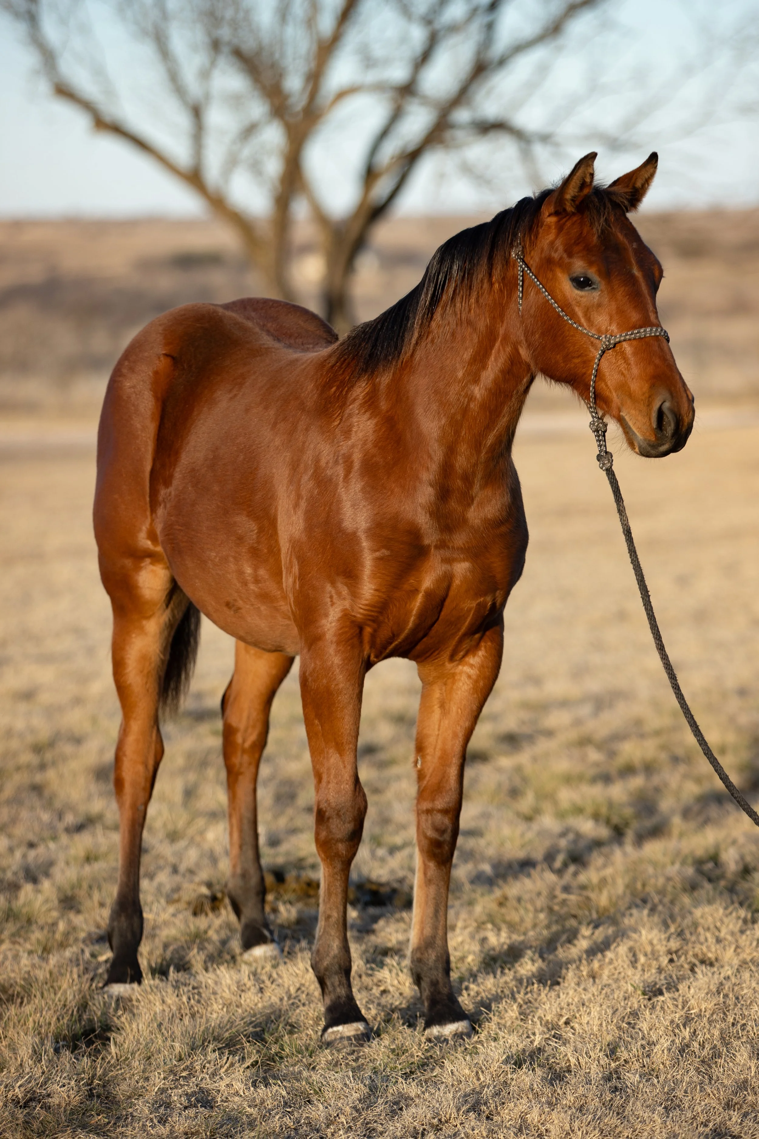 Copy of RAb PicturePErfect2 - Emily McCartney Eiguren.jpg