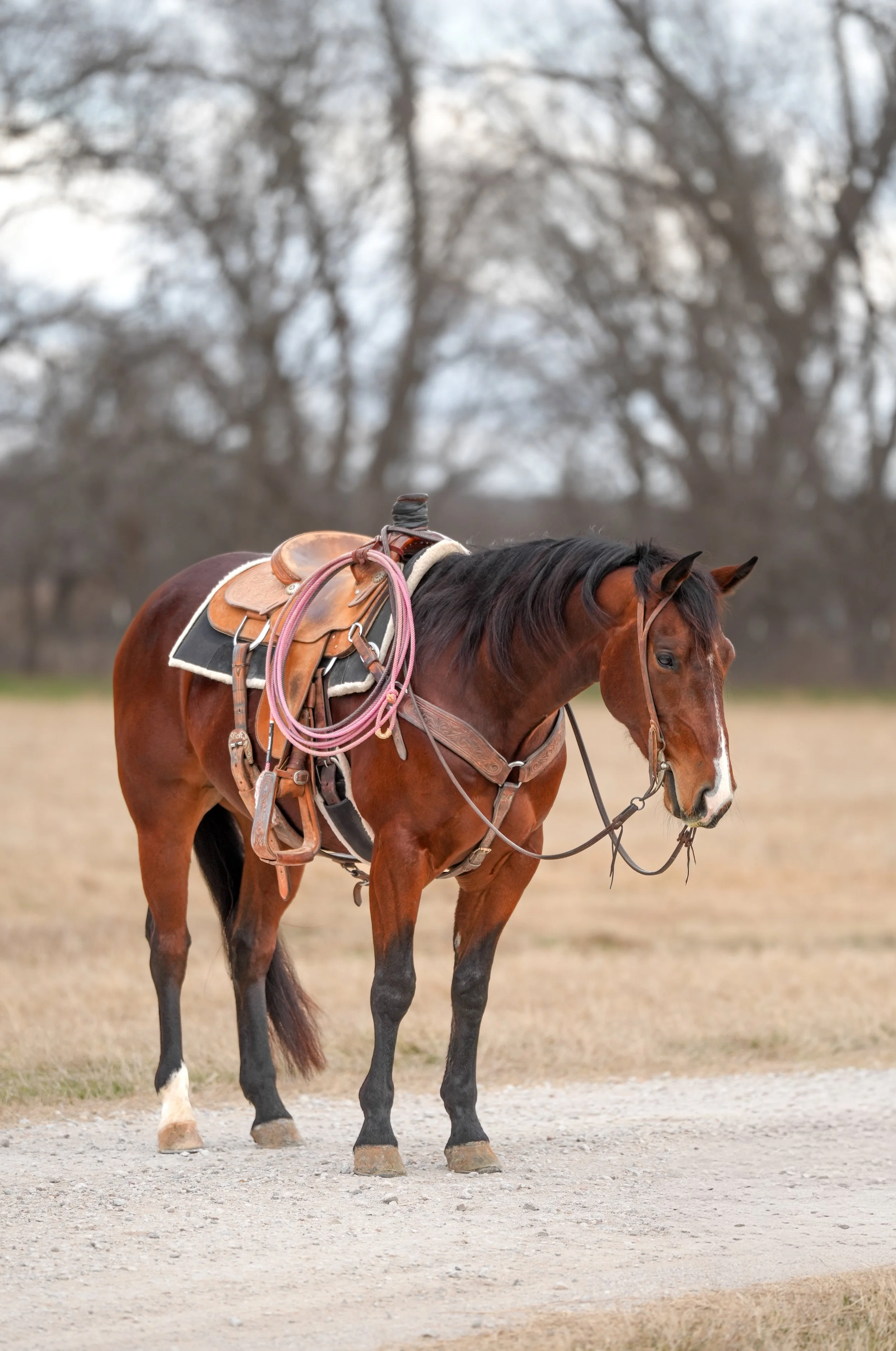 Copy of 3.4 Blizzard.jpg