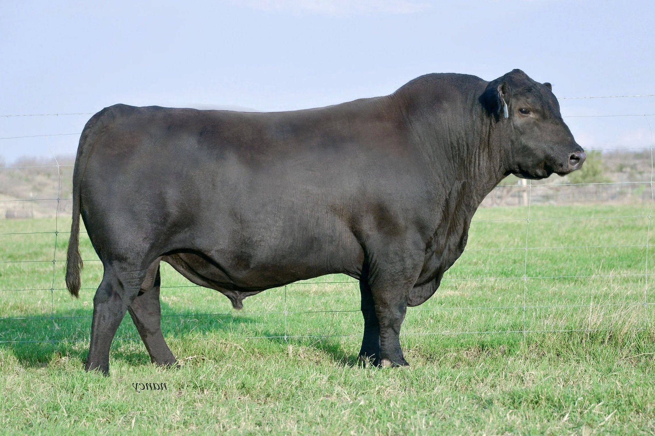 Woodhill Partner B174-D135