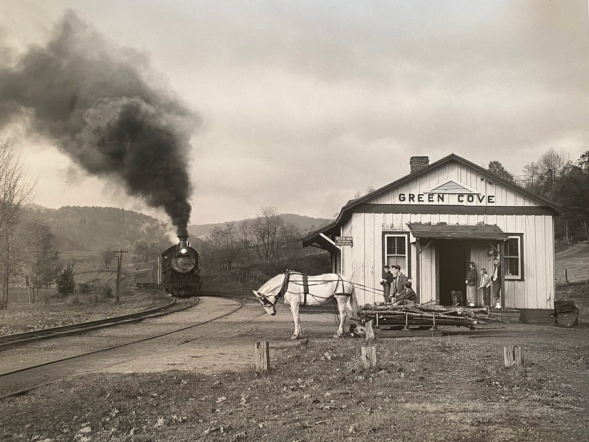 Maud Bows to the Virginia Creeper, Green Cove, Virgina, October, 1956 (printed 1996)