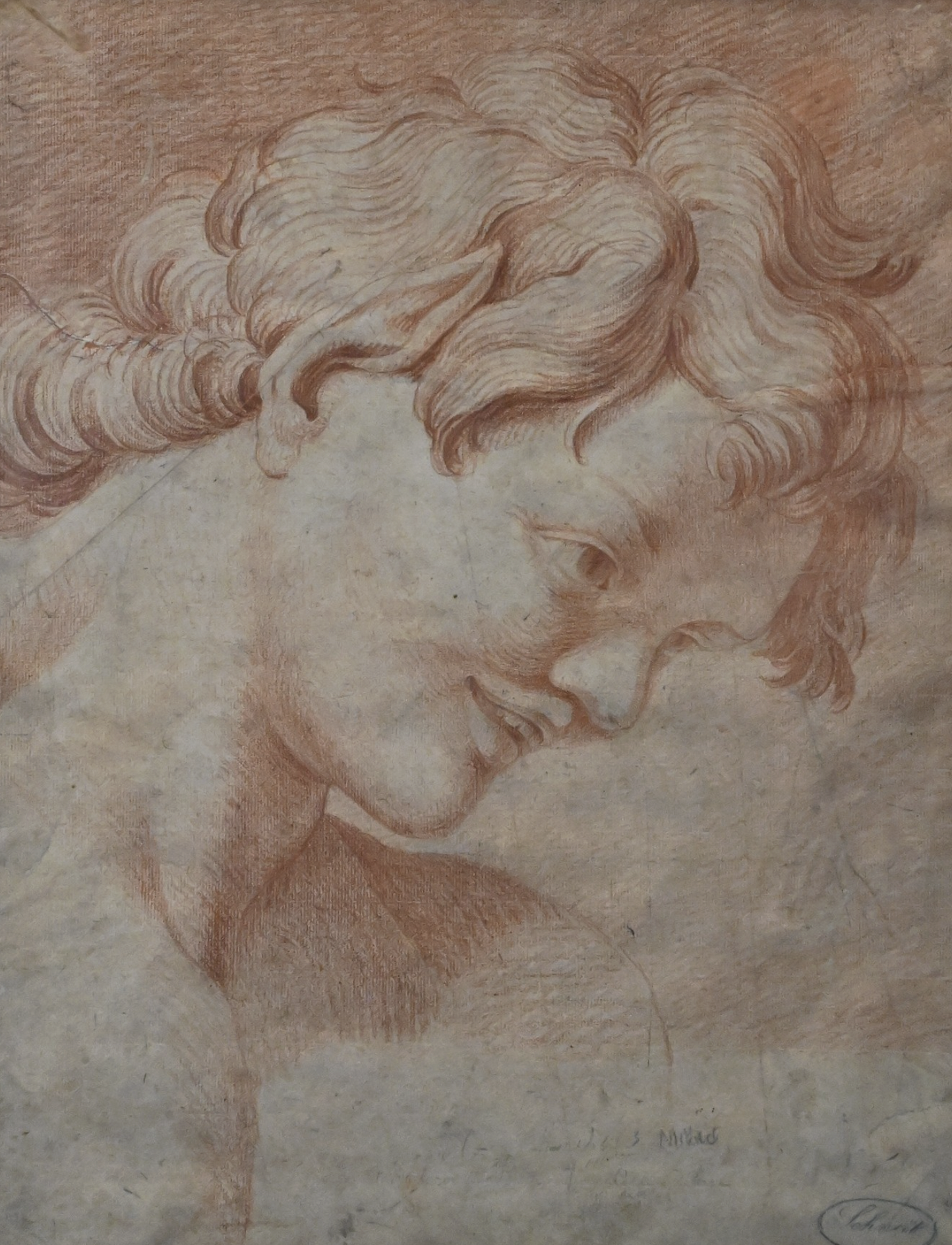Dutch School, Head of a Youth, 17th/18th Century