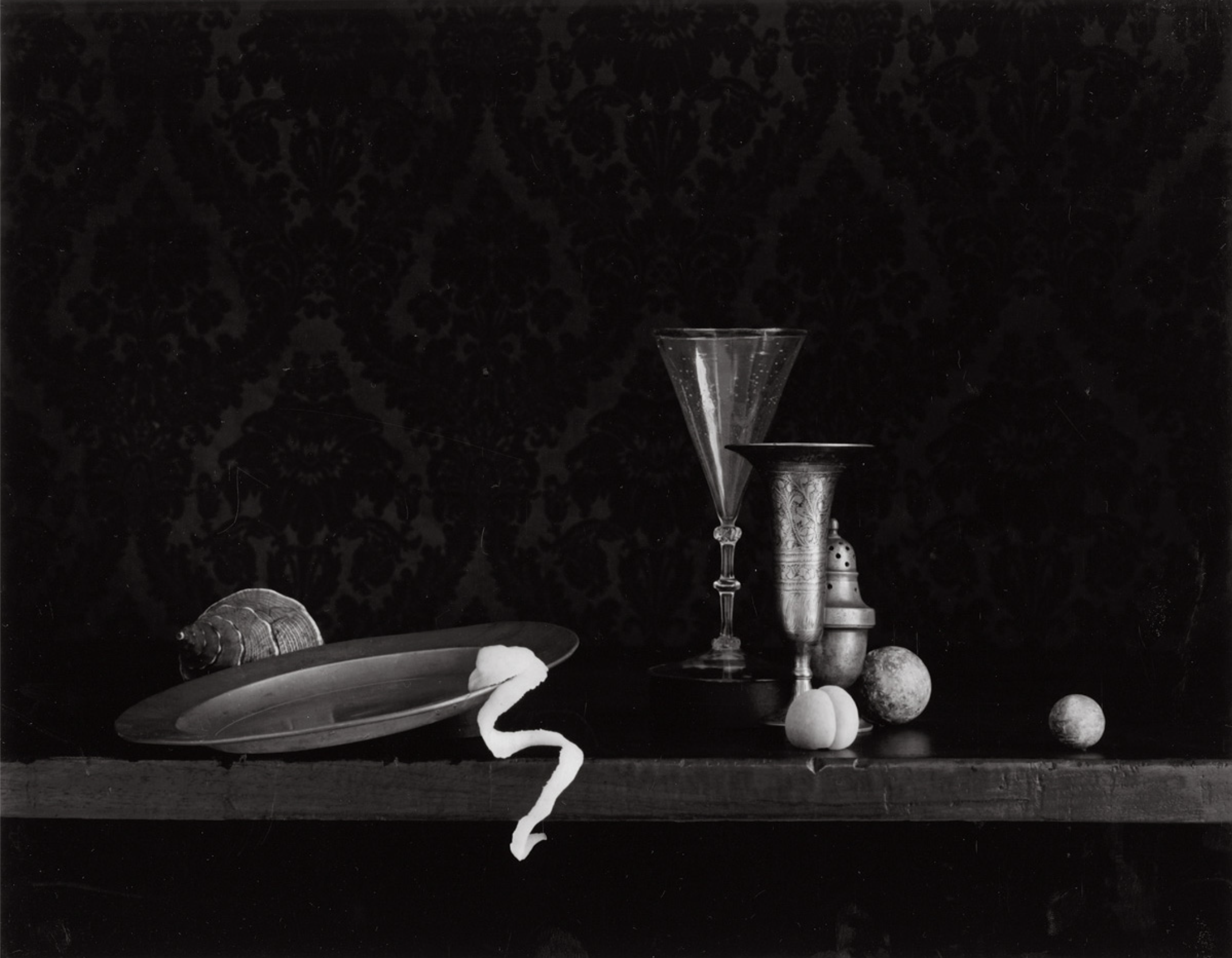 D W Mellor, Conch Shell, Amsterdam, 1998