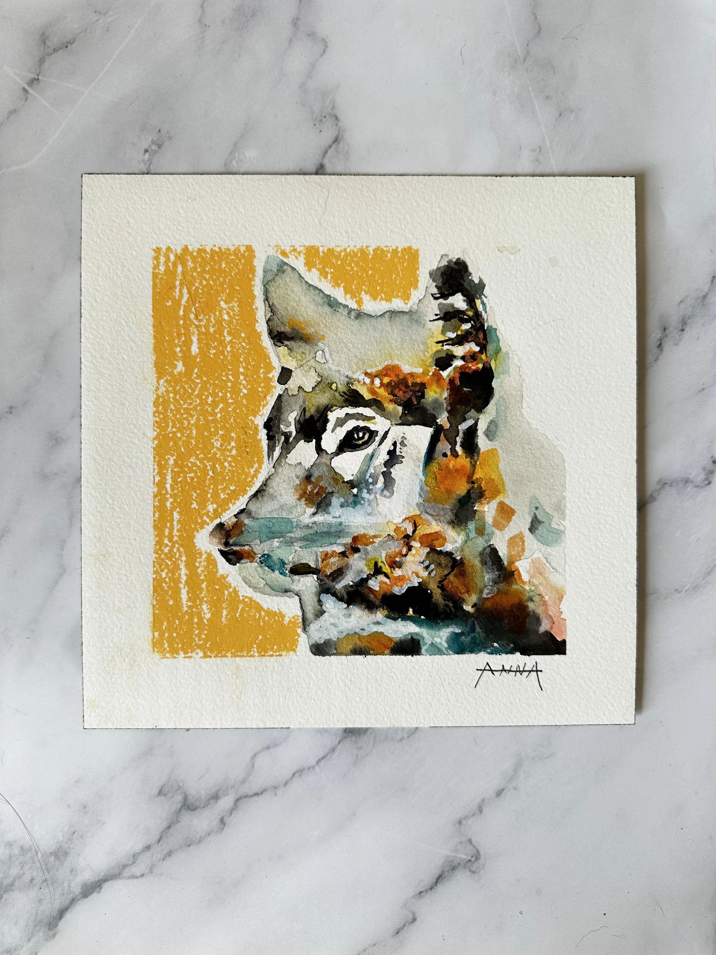 annawise-wolfart-orange-fallwatercolors.jpeg