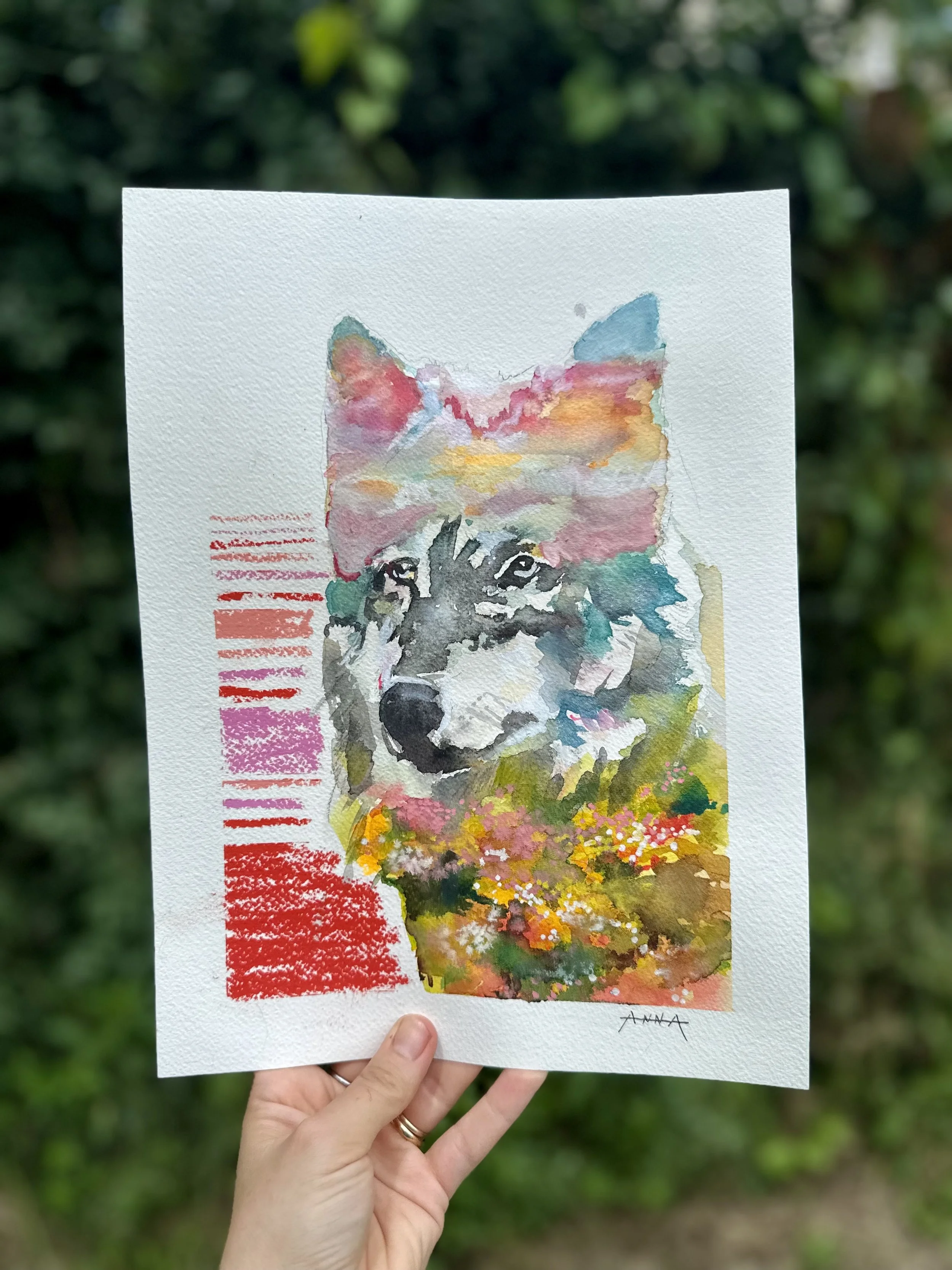Wild Cartography 11
