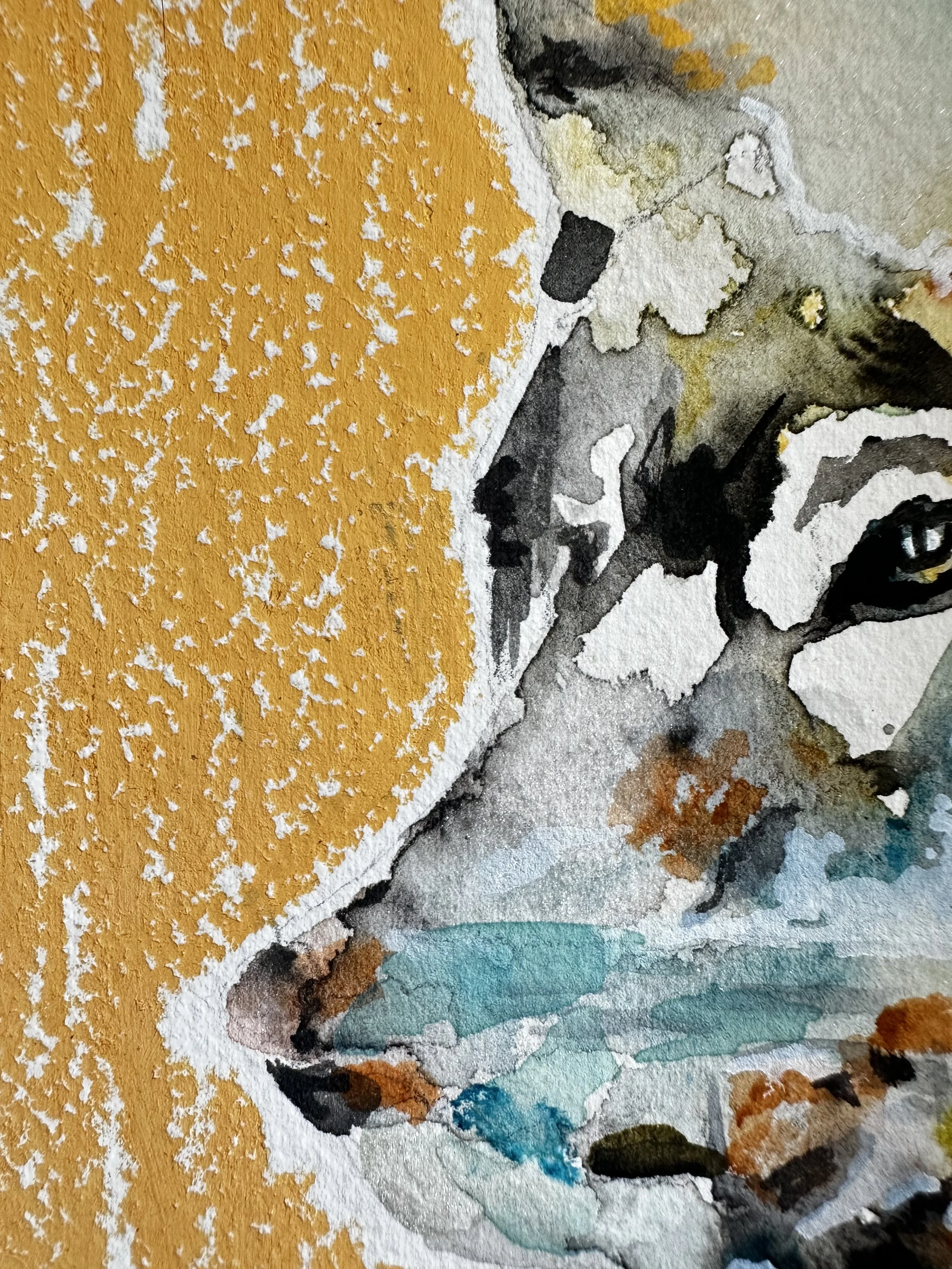 wolfdetail.jpeg