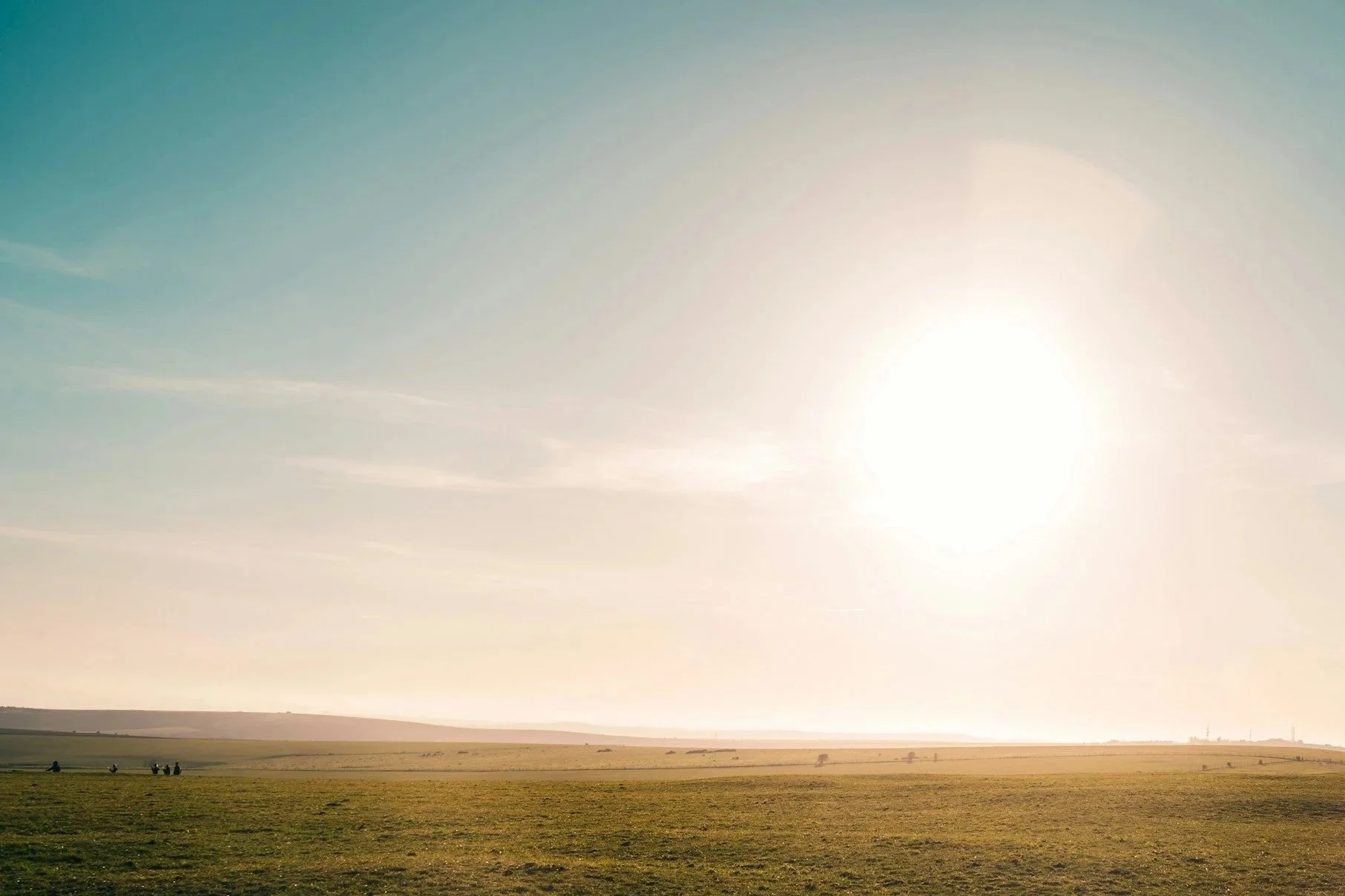 Open field with sparse trees and a bright sun in a clear sky.