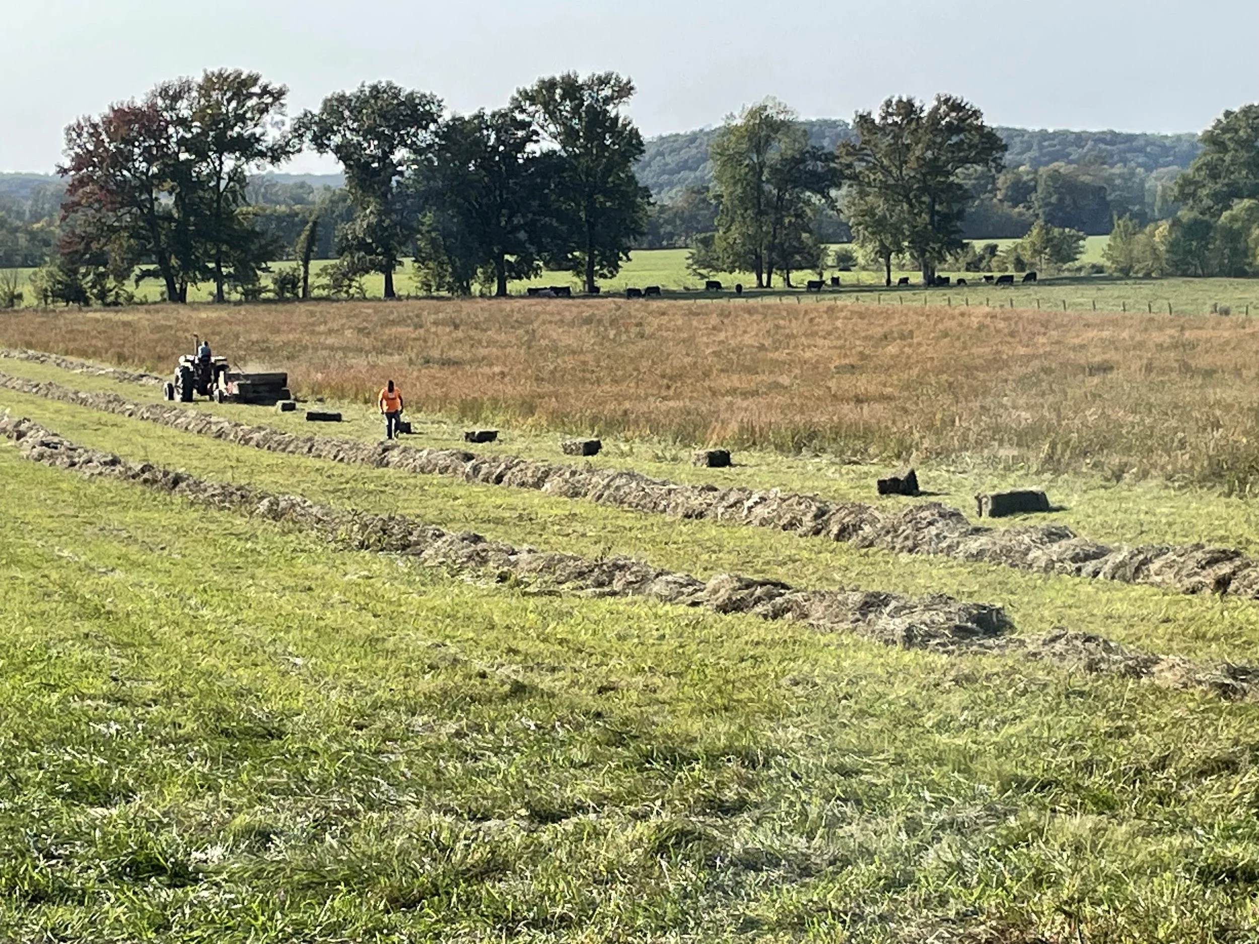 Farmers and a tractor in a field with hay bales, trees in the background.