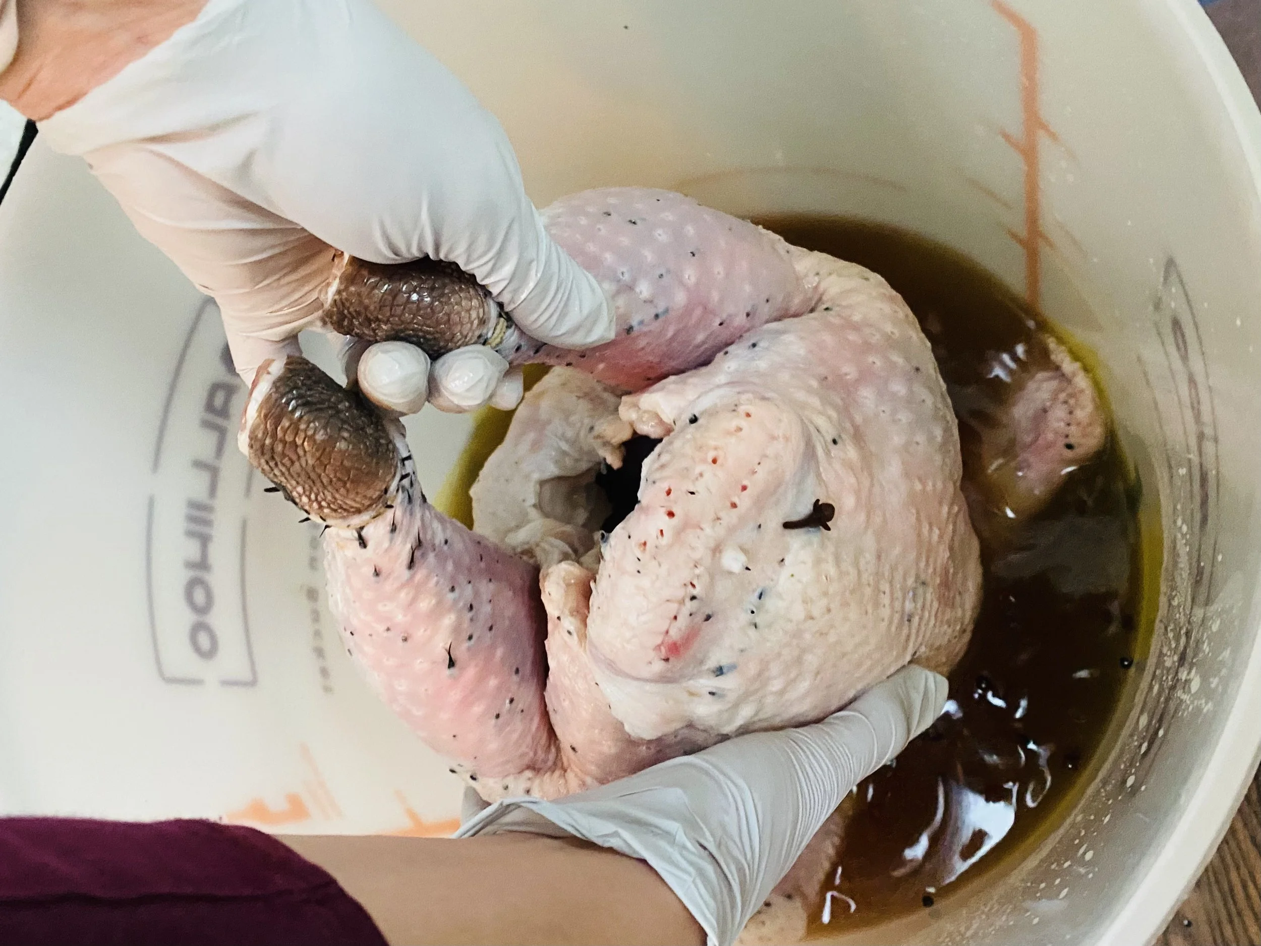 Removing the turkey from the brine for The Best Turkey Recipe Ever from NRQi Studio.