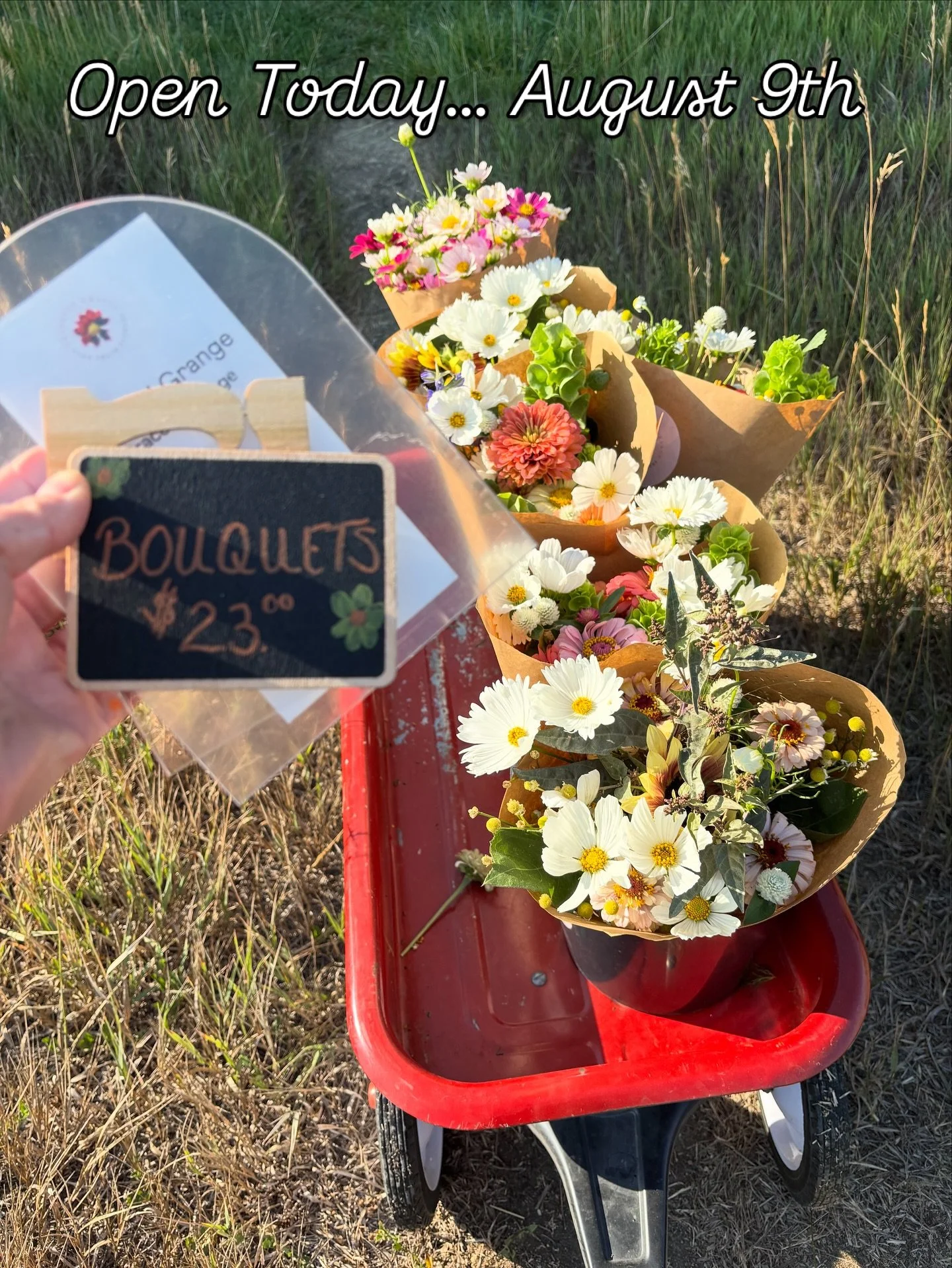 Fresh blooms at the flower stand today&mdash;come pick your favorites!

#gracefulgrange
#gracefulgrangeflowerstand 
#mountaudubondeadend 
#wherepavementmeetsdirt