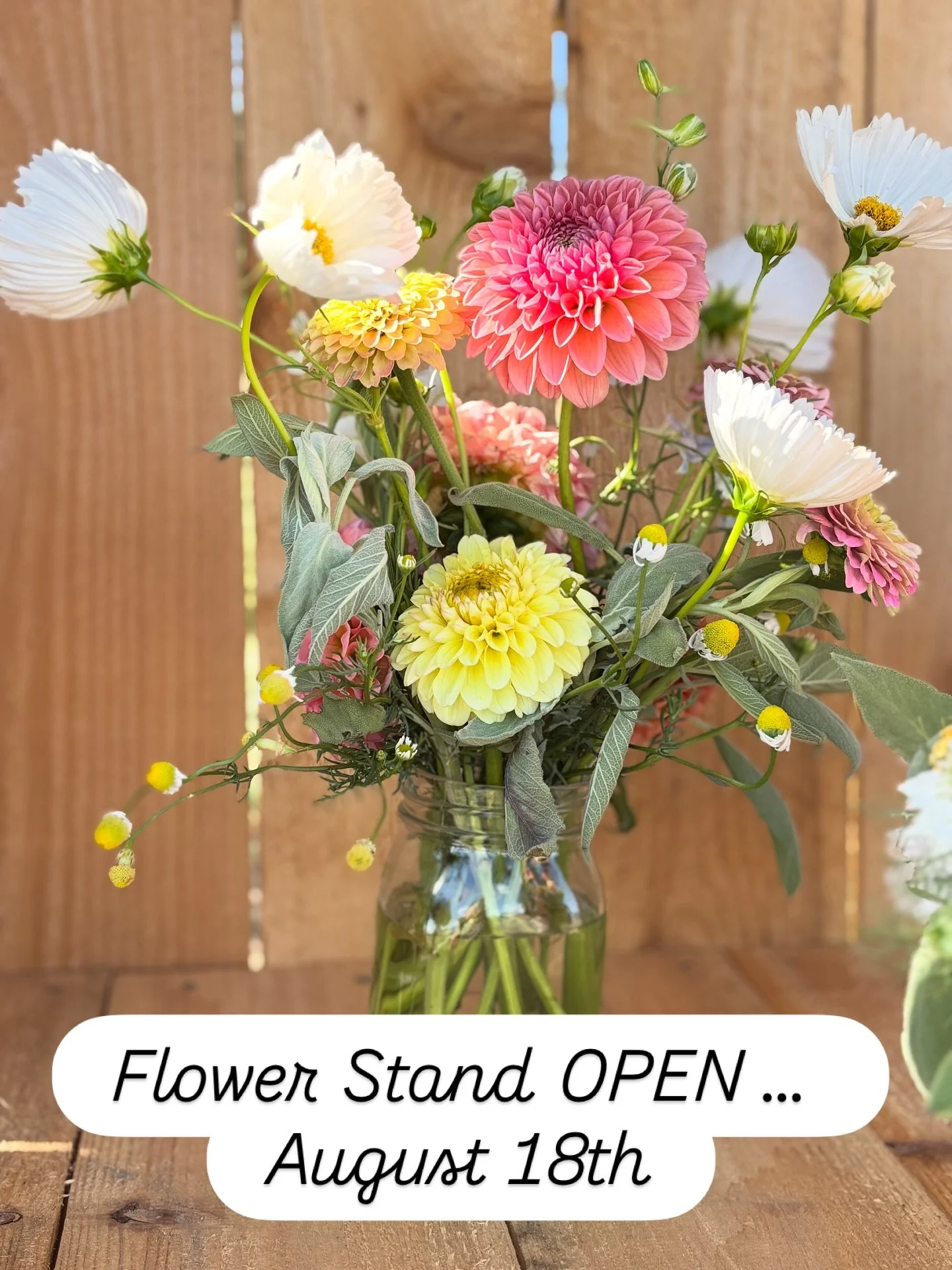We have a few arrangements still available and so we have dropped price and are open today! Come grab a great deal on beautiful flowers!
#gracefulgrange 
#gracefulgrangeflowerstand 
#wherepavementmeetsdirt