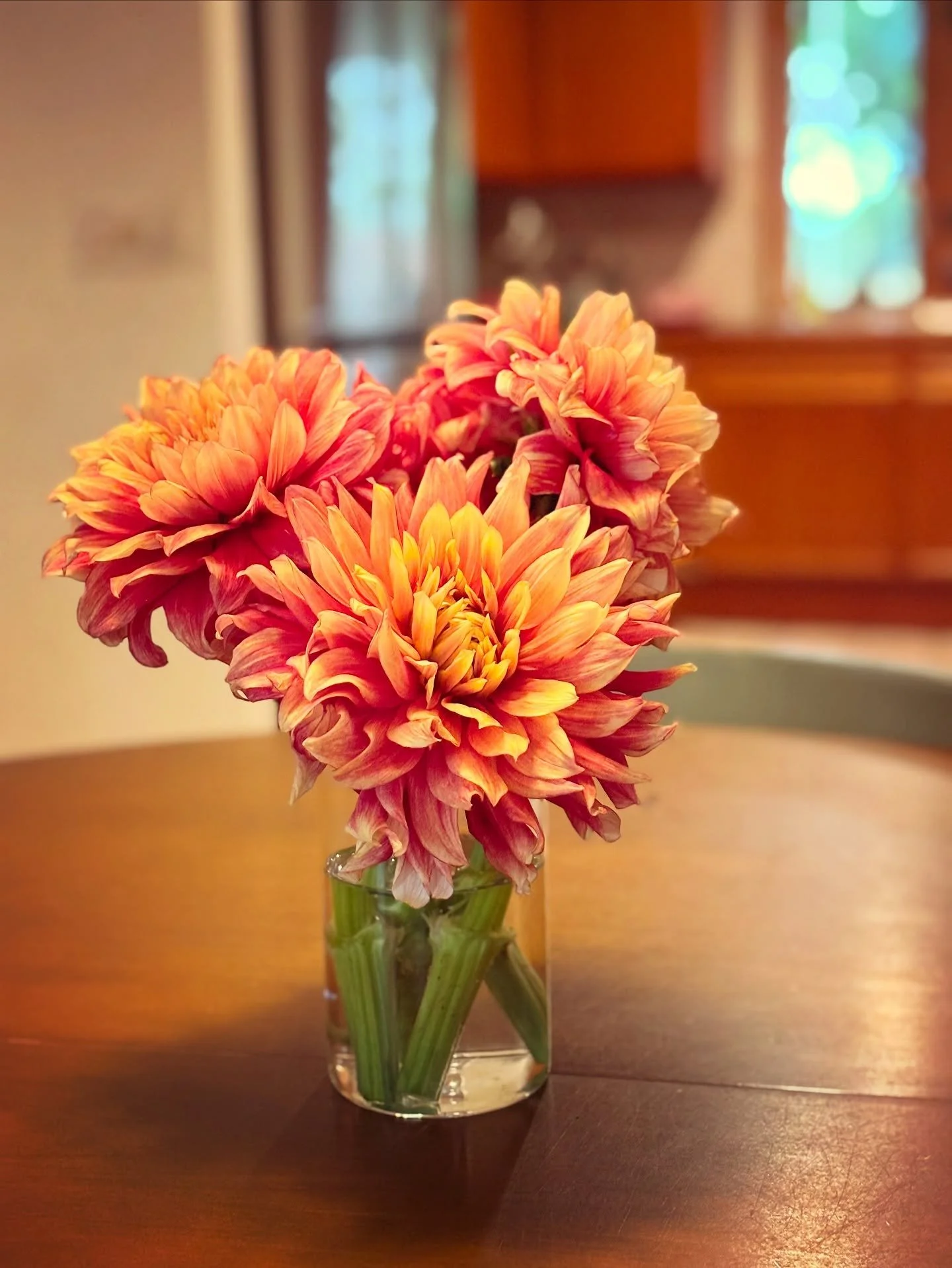 Everyone should have Sunfire Dahlias on their kitchen table to wake up to on Monday morning!

Grab yours this weekend at the Graceful Grange Flower Stand!

#gracefulgrange #gracefulgrangeflowerstand