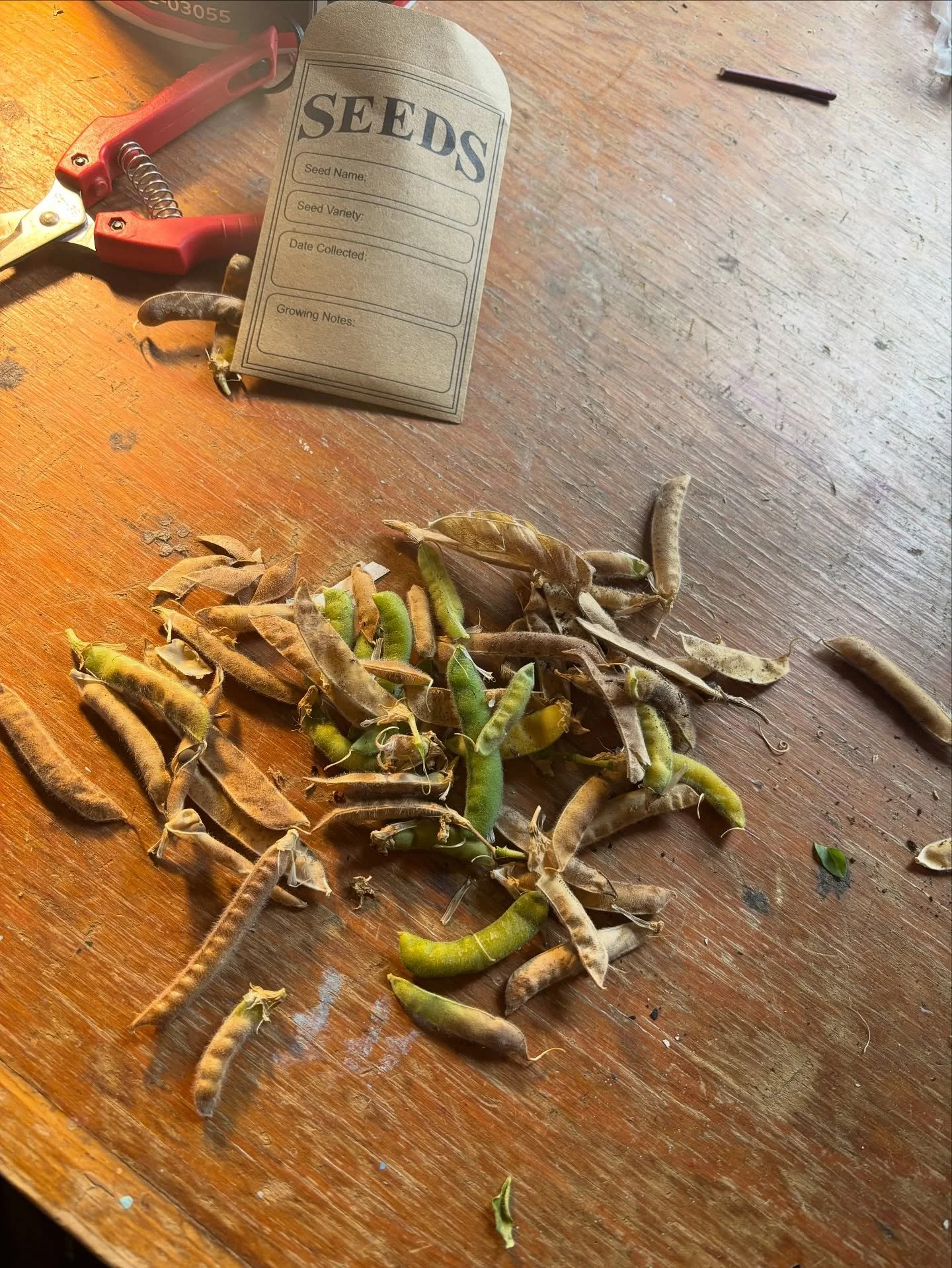 A new season. #gracefulgrange