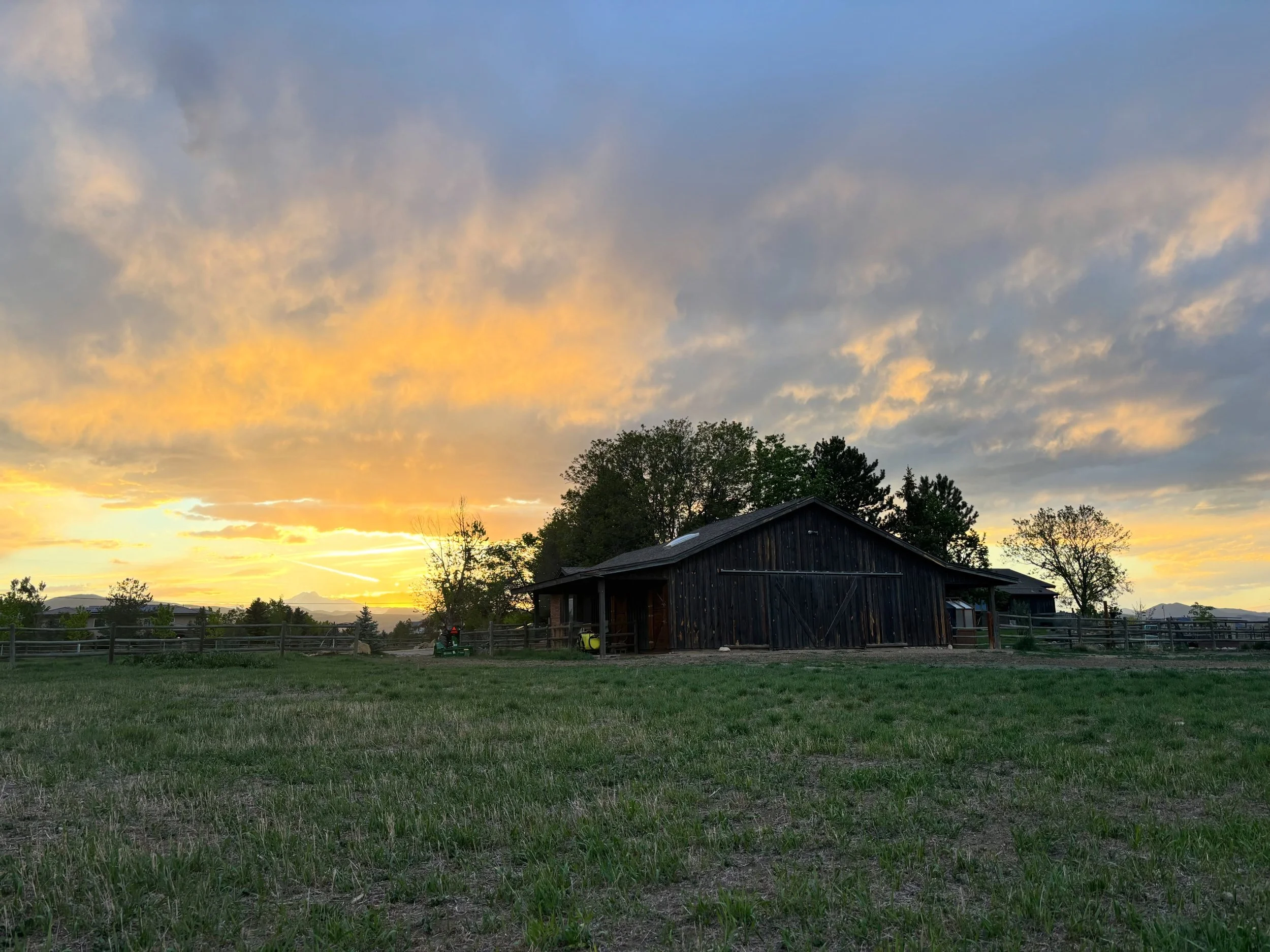 Golden skies tonight, 500+ seedlings planted tomorrow at Graceful Grange. 🌅🌷#gracefulgrange