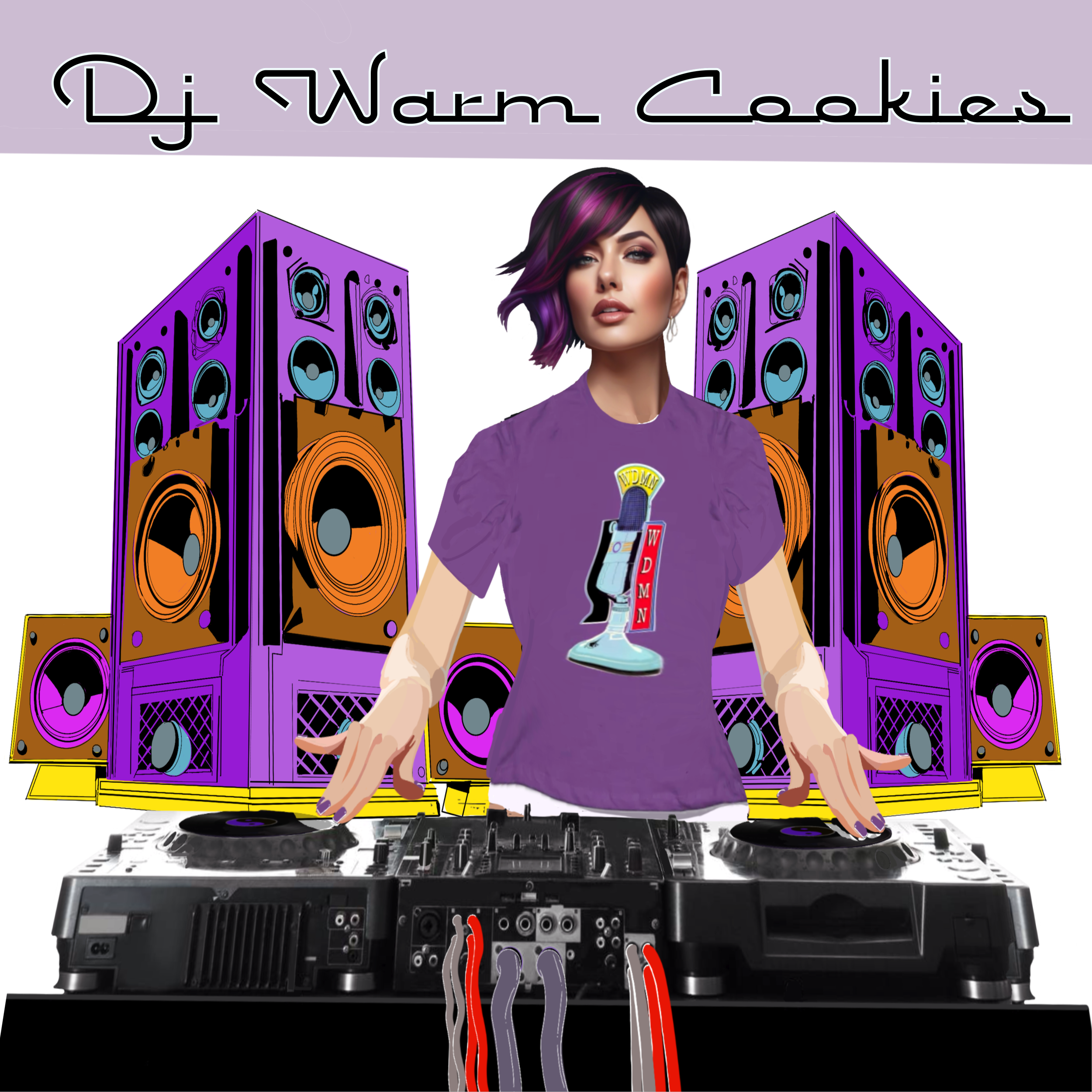 Illustration of a female DJ with purple and black hair, wearing a purple t-shirt with a radio and microphone graphic, standing behind a DJ mixing console, with large speakers and colorful sound equipment in the background, and a purple banner with th