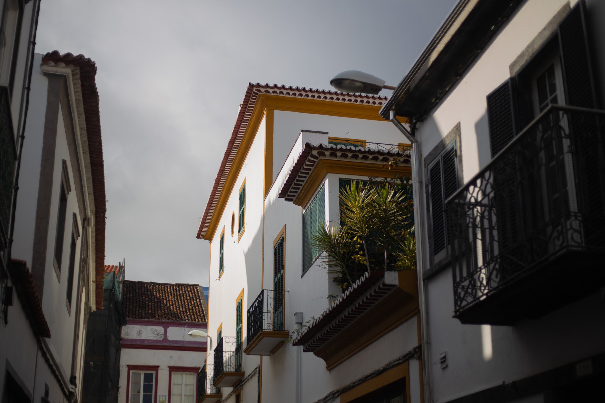 Azores - São Miguel 2025