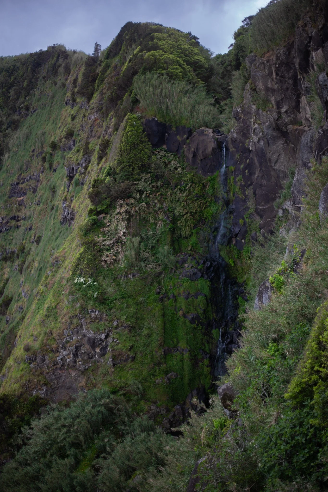 Azores - São Miguel 2025