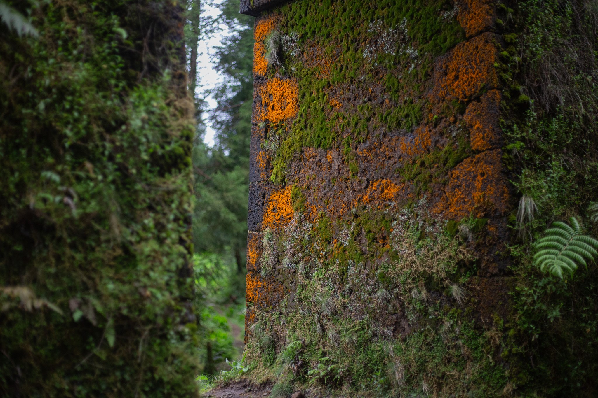 Azores - São Miguel 2025