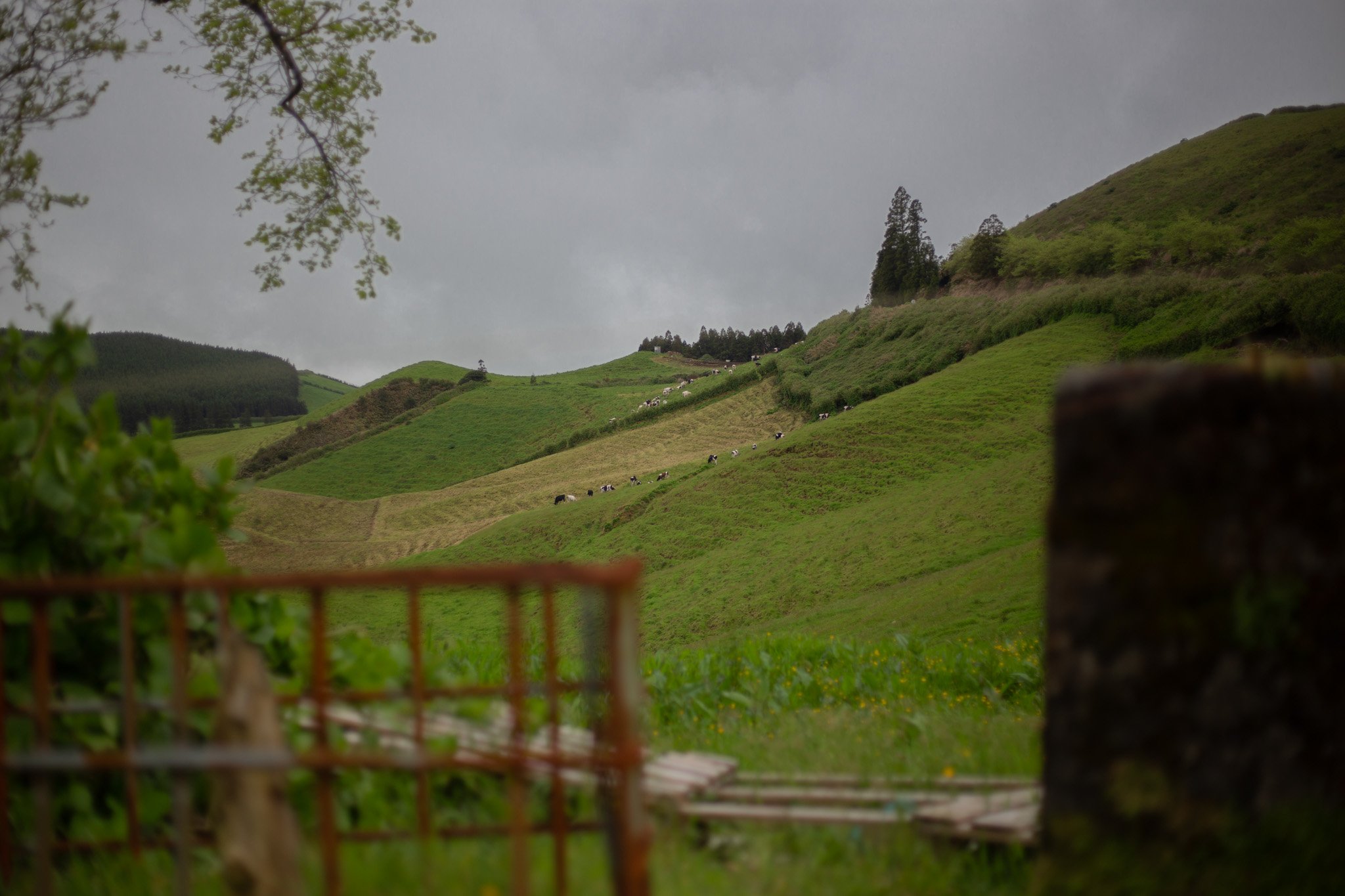 Azores - São Miguel 2025