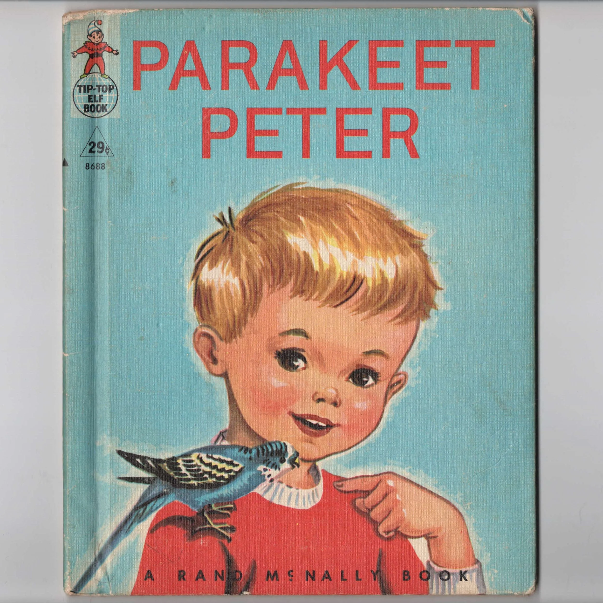 Parakeet Peter.jpg