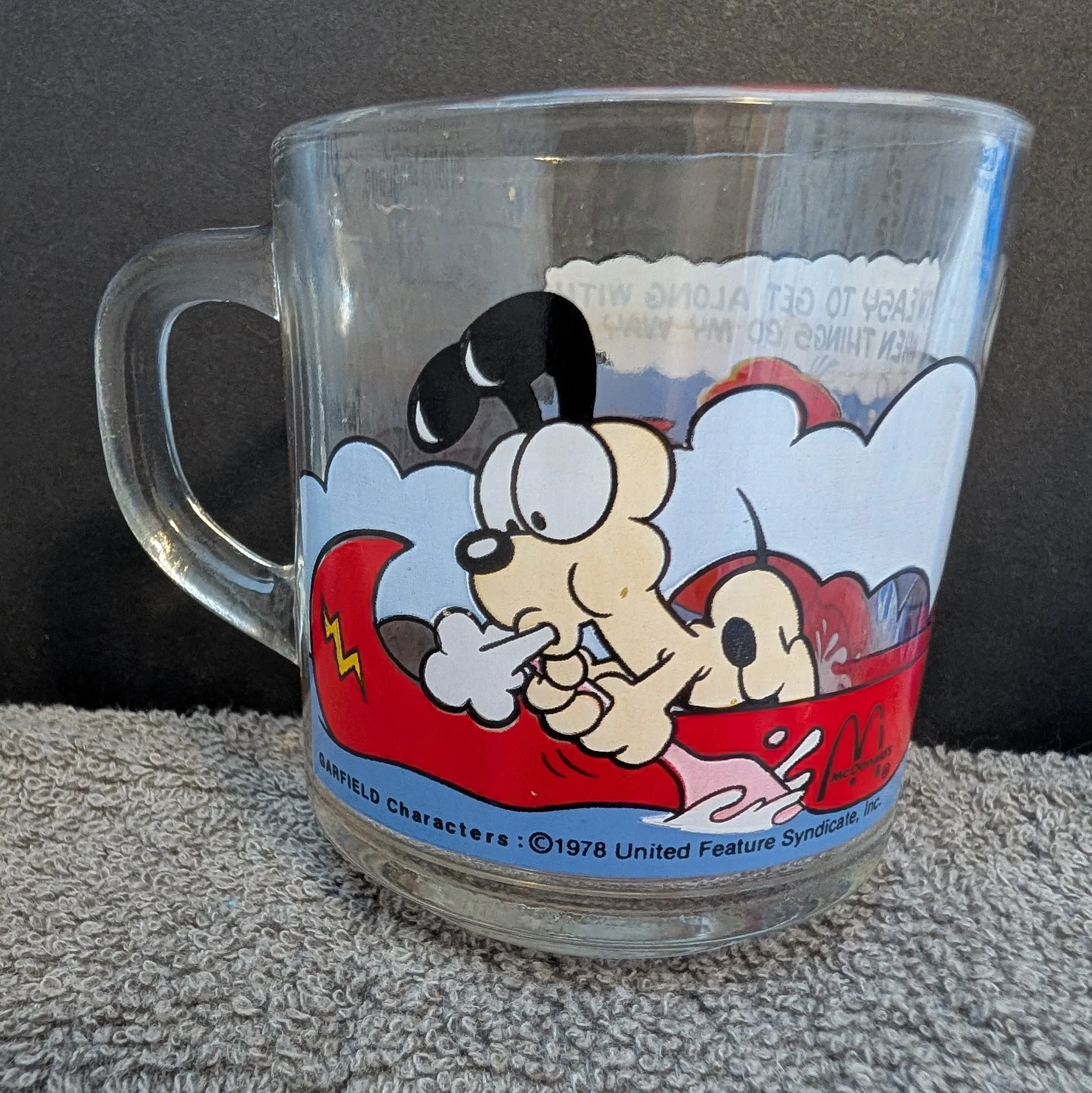 Garfield Mug - Canoe 3.jpg