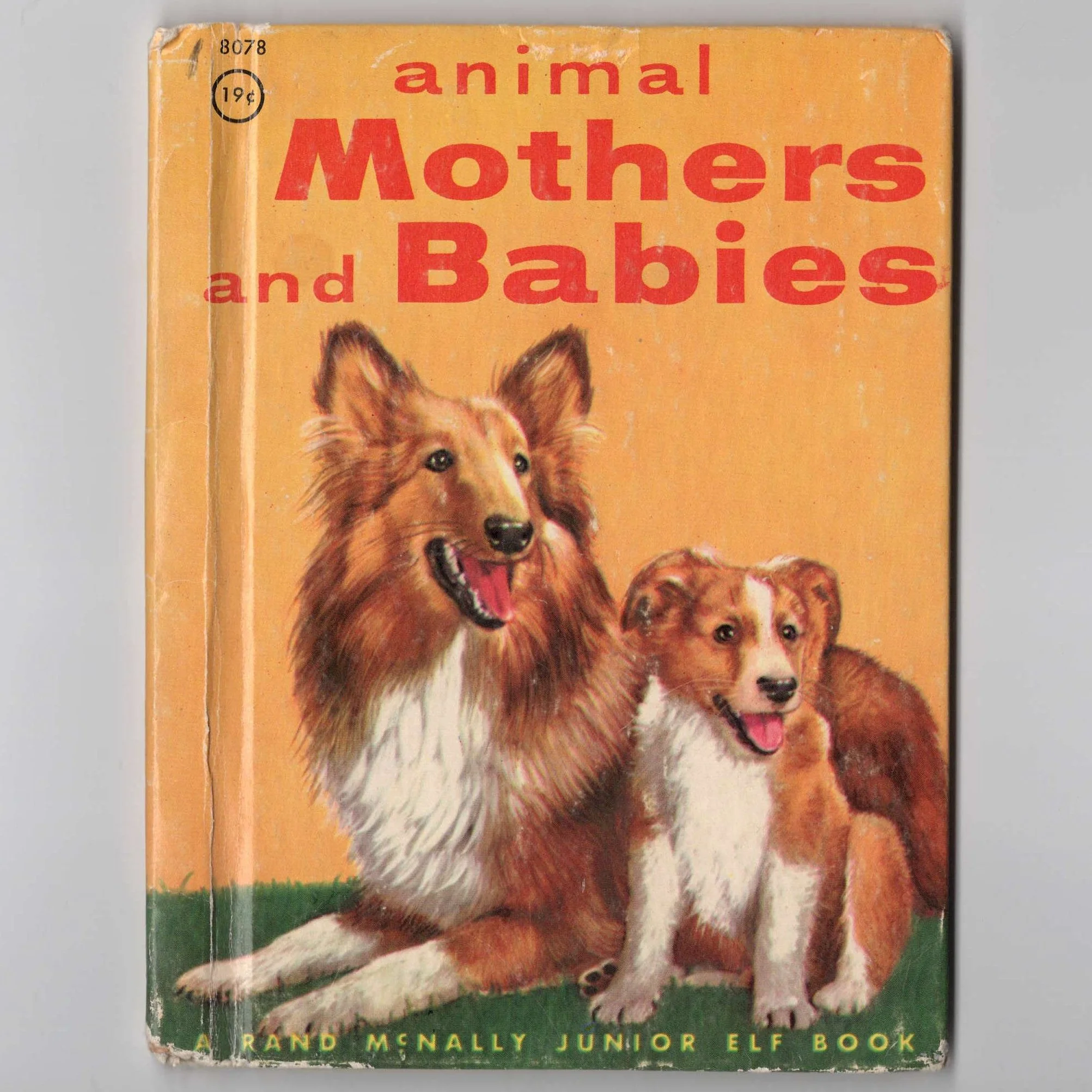 Animal Mothers and Babies.jpg