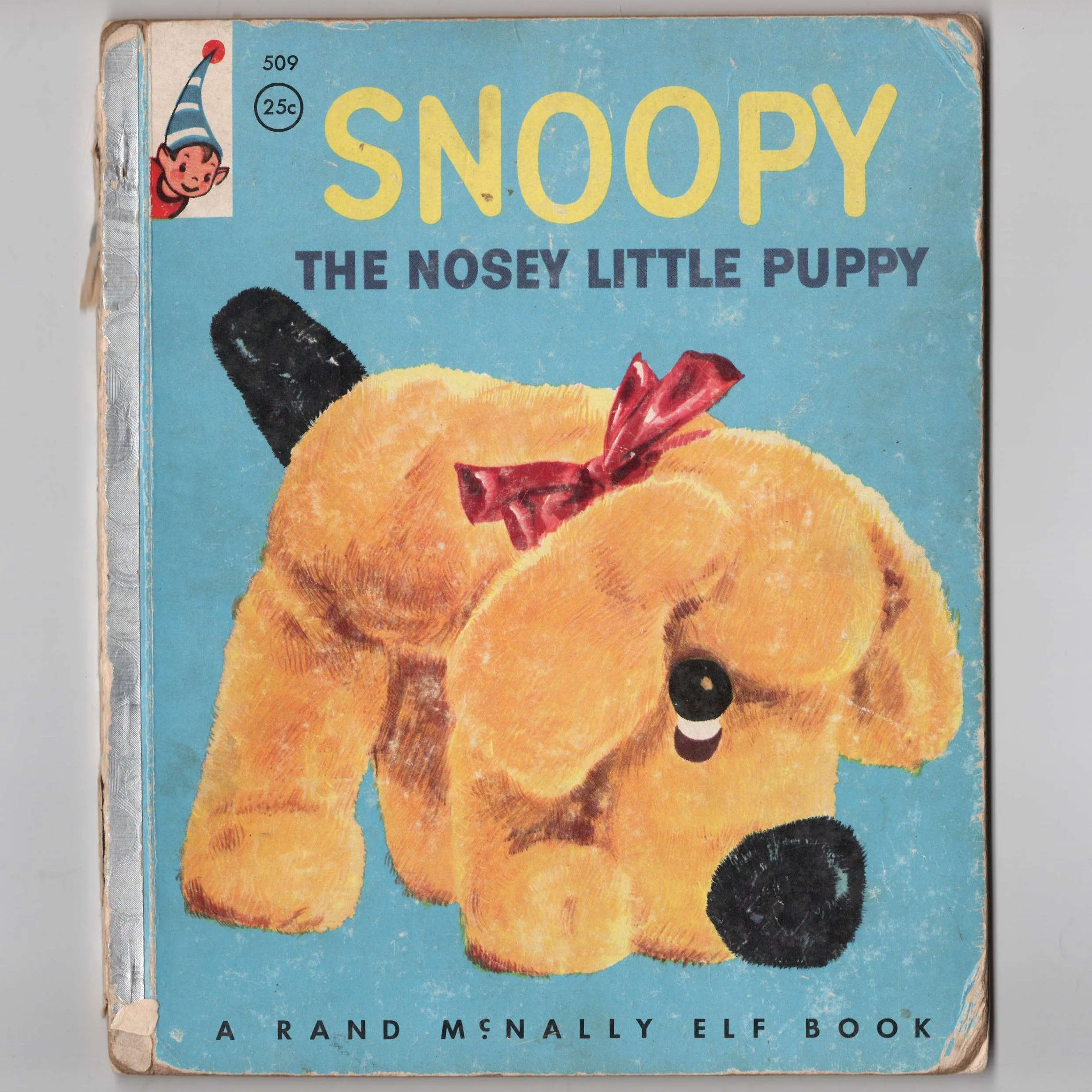 Snoopy the Nosey Little Puppy.jpg