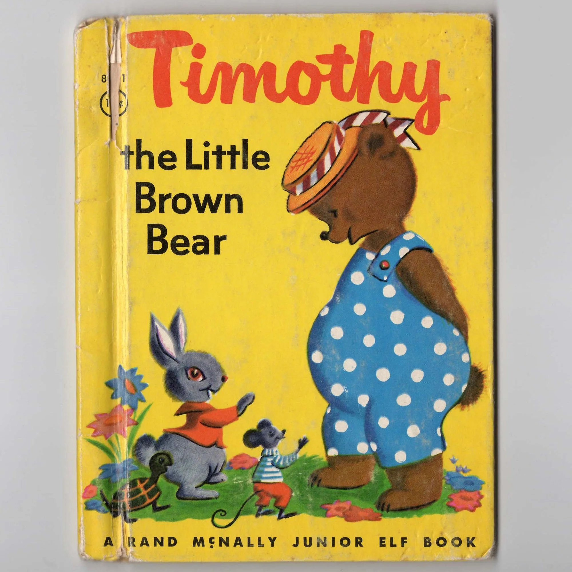 Timothy the Little Brown Bear.jpg