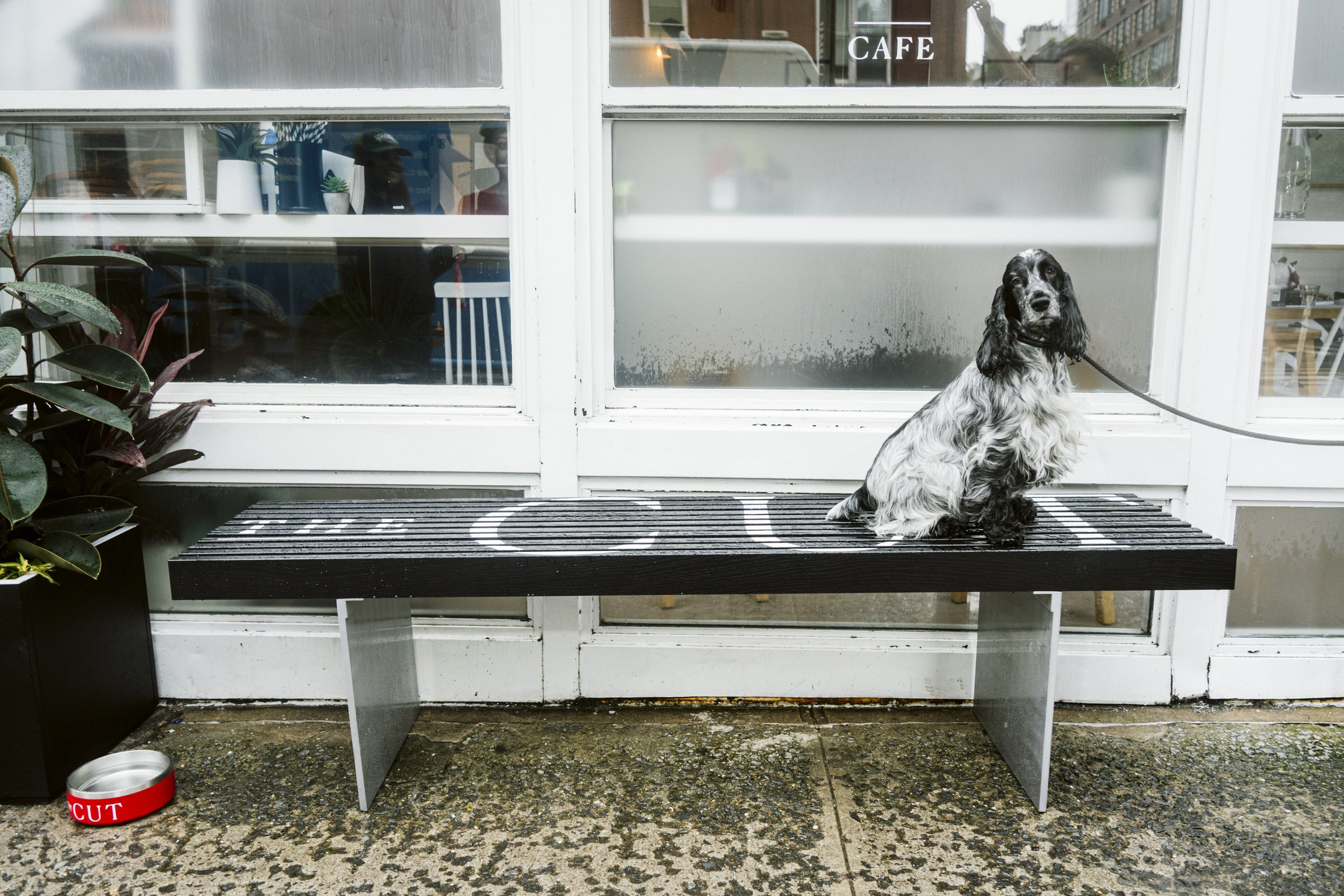 The CUT Cafe 0907-75.JPG