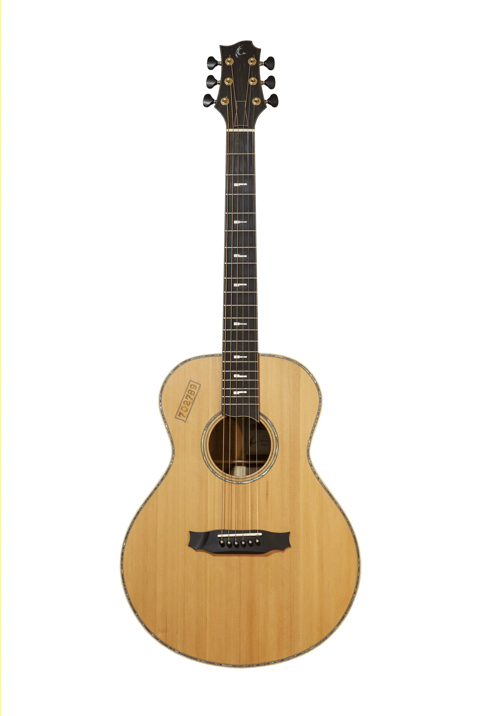 Kapps-Wurlitzer Guitar-01.jpg