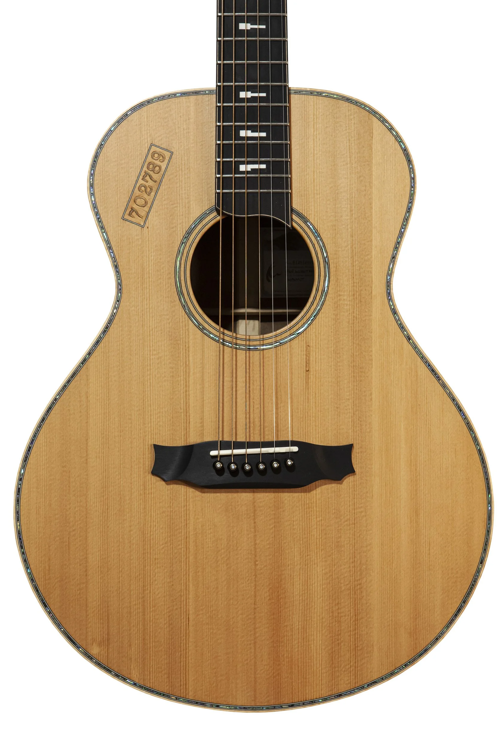 Kapps-Wurlitzer Guitar-03.jpg