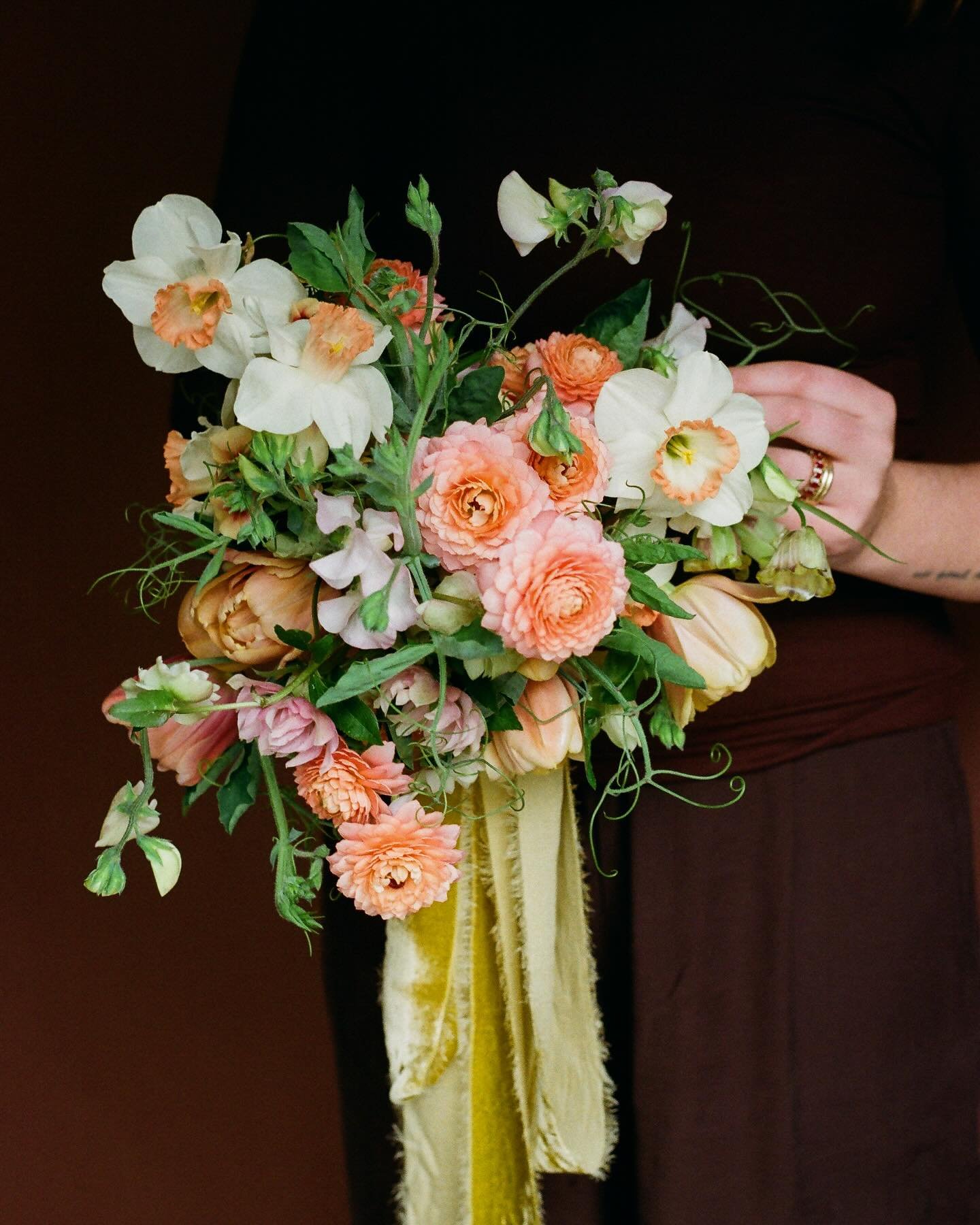 spring has sprung! (and these butterfly ranunculus are still living in my head rent free)