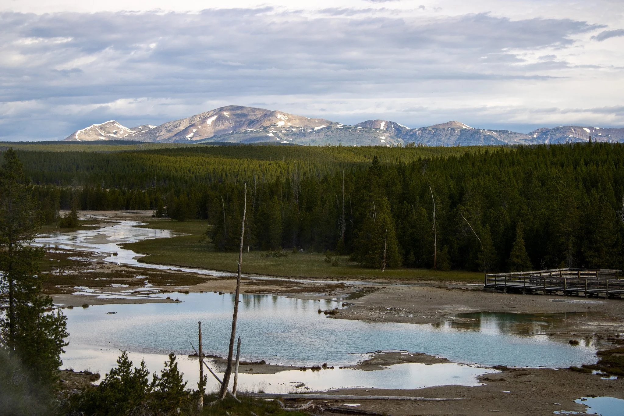 Mountain landscape with snow-capped peaks, dense green forest, and a winding river in the foreground under a cloudy sky.