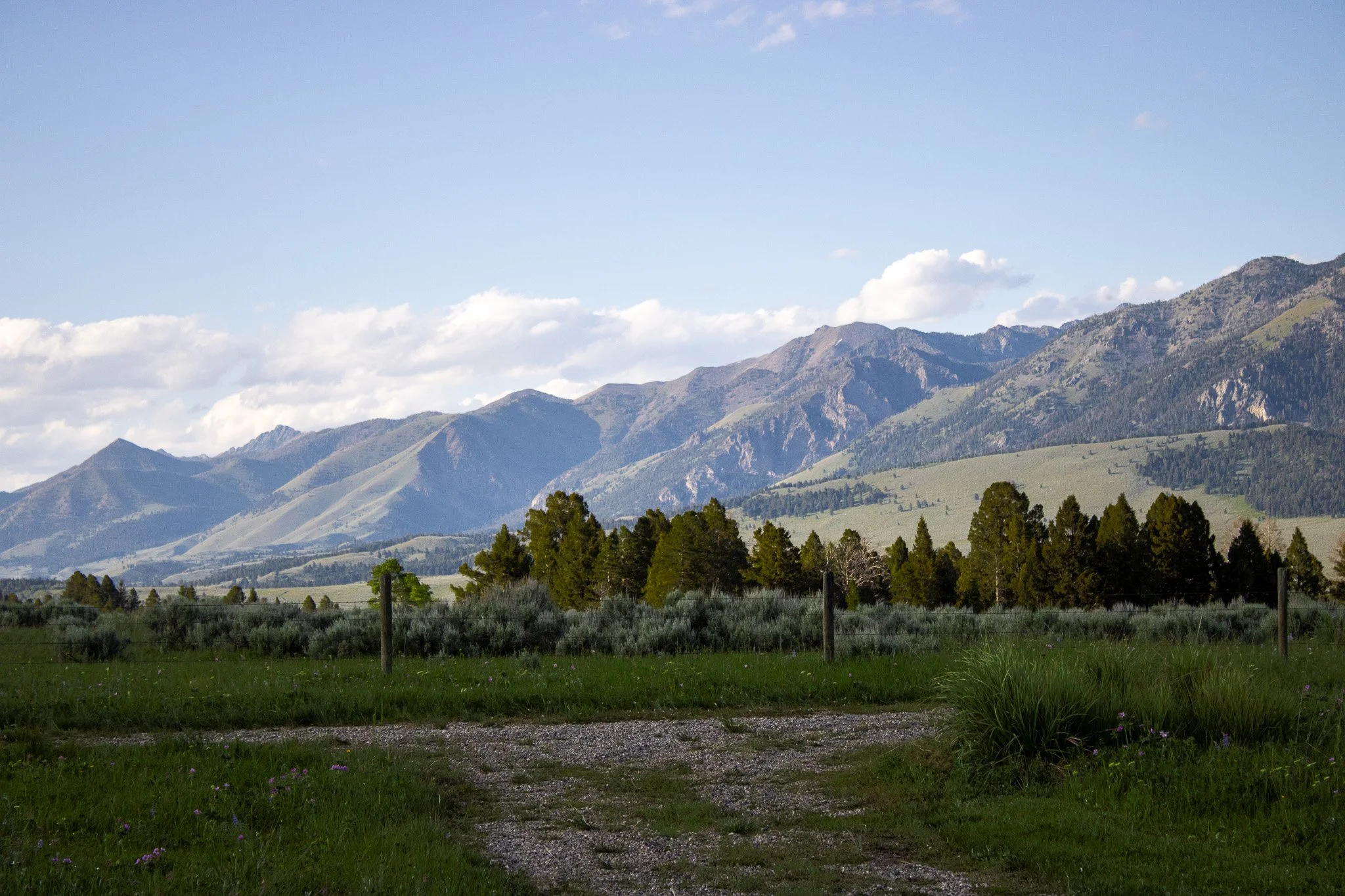 Landscape of mountains with partly cloudy sky, green trees, and grassy foreground