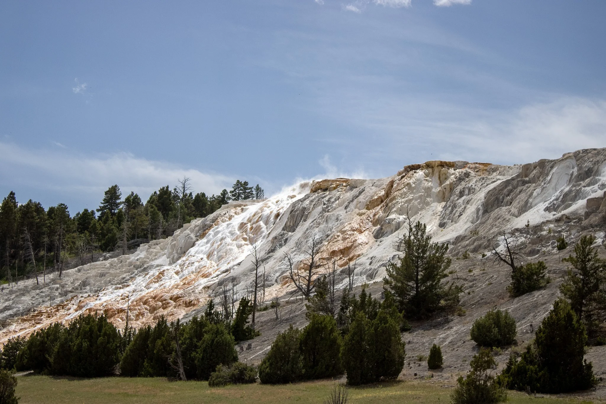 Scenic view of a geothermal hot spring or mineral deposit formation with white and light brown mineral deposits on a hillside, surrounded by green trees under a blue sky.