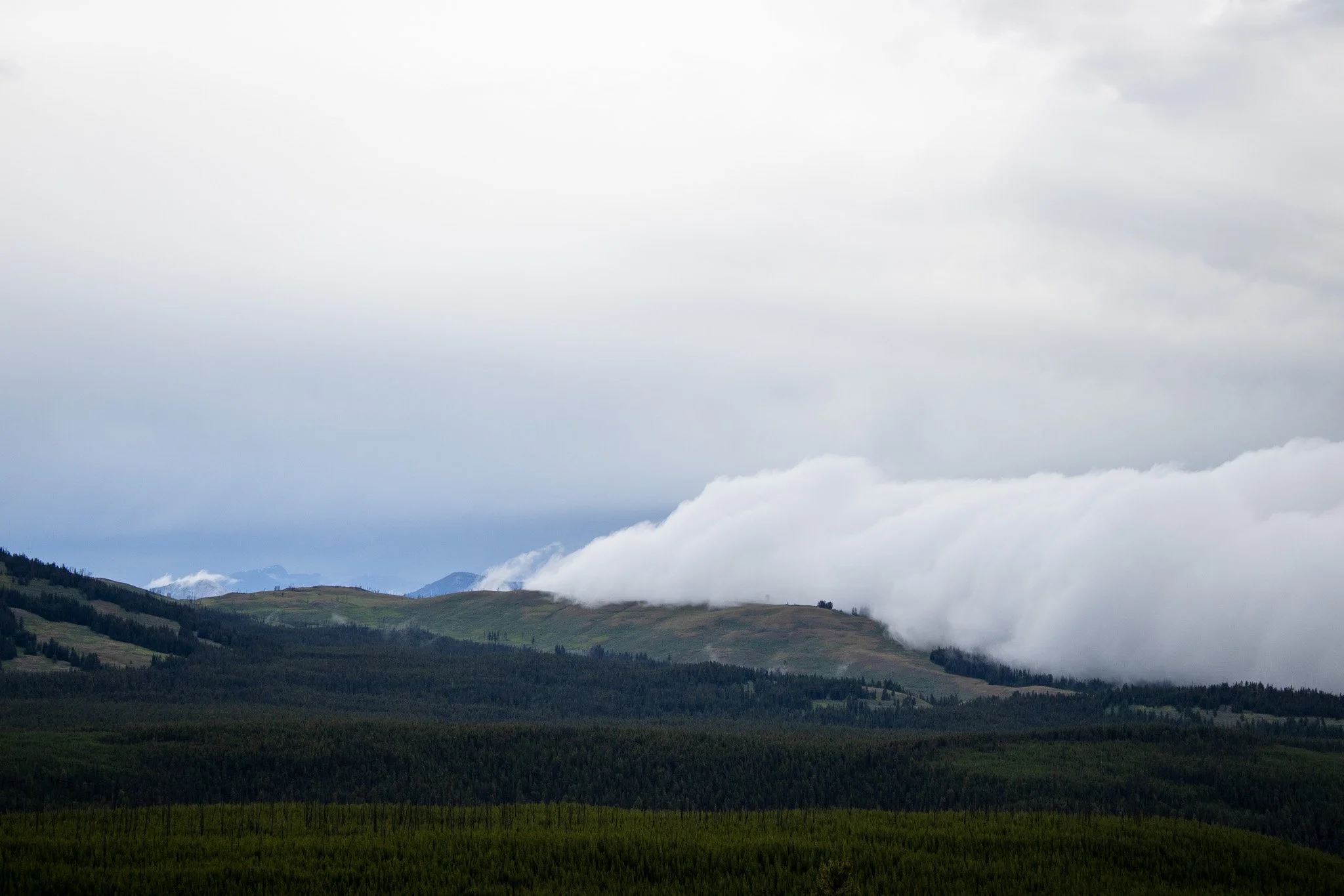 Hillside landscape with green trees and grass, cloudy sky, and fog rolling over the hills.