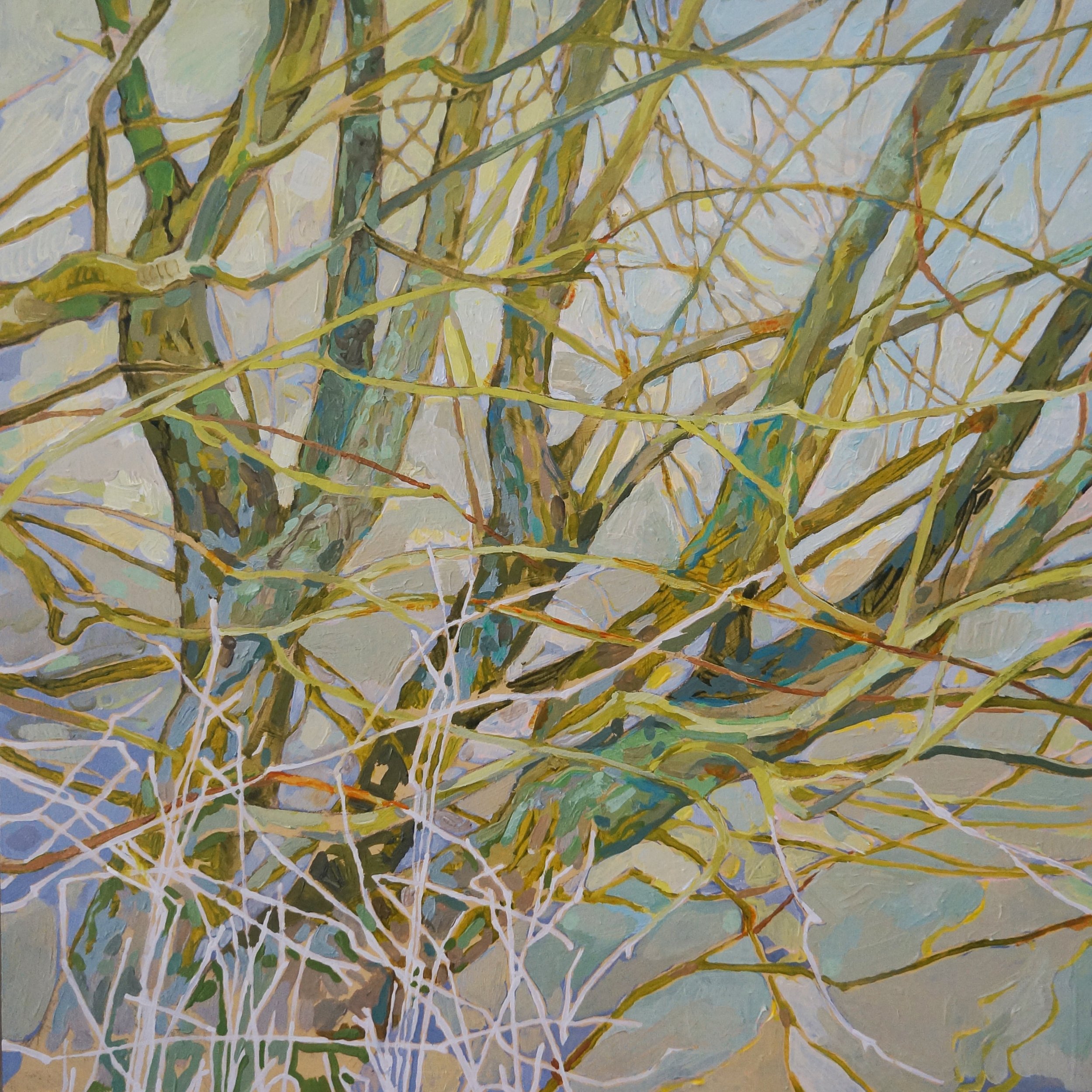 willows.jpg