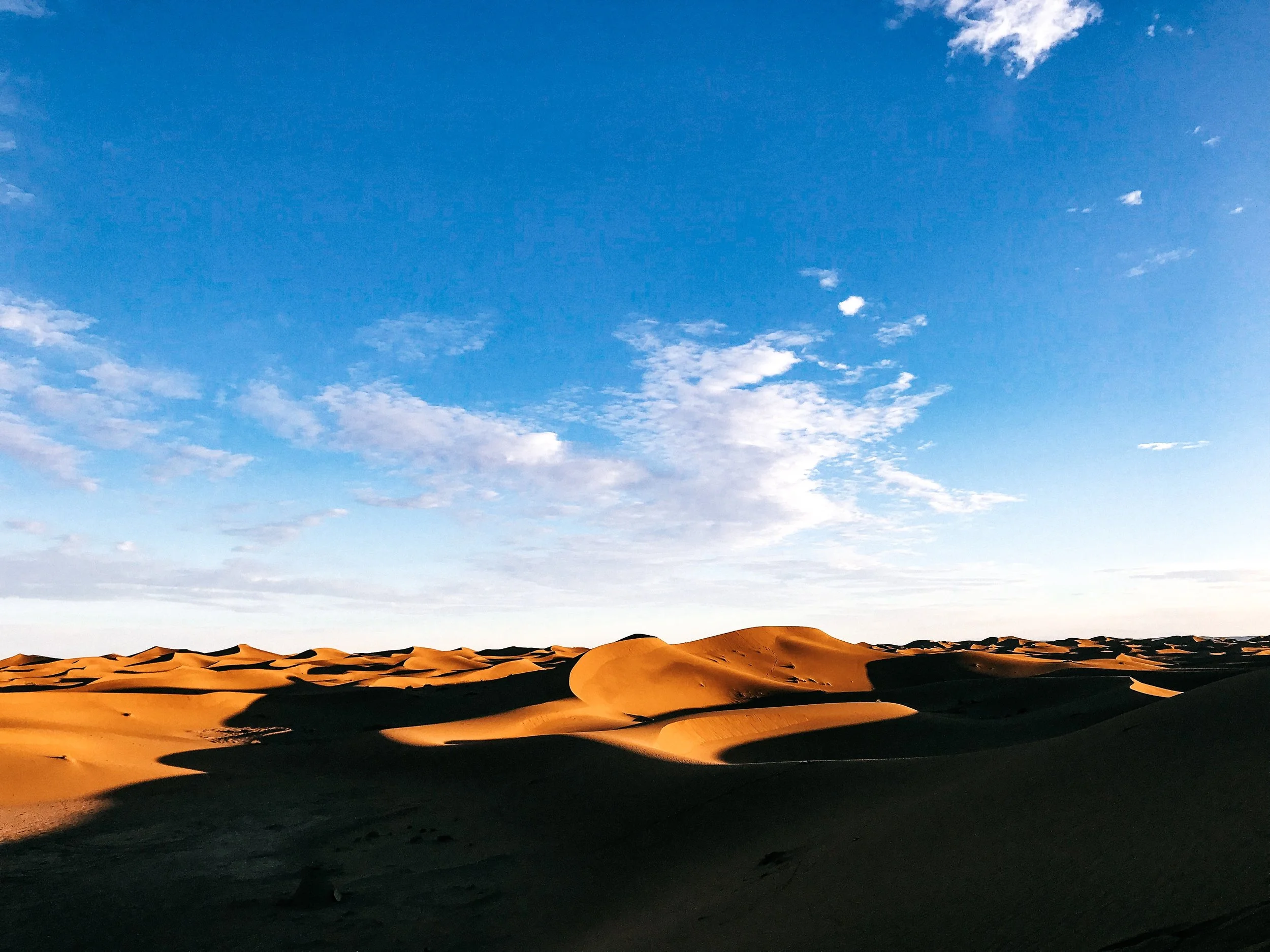Christmas in the Sahara Desert